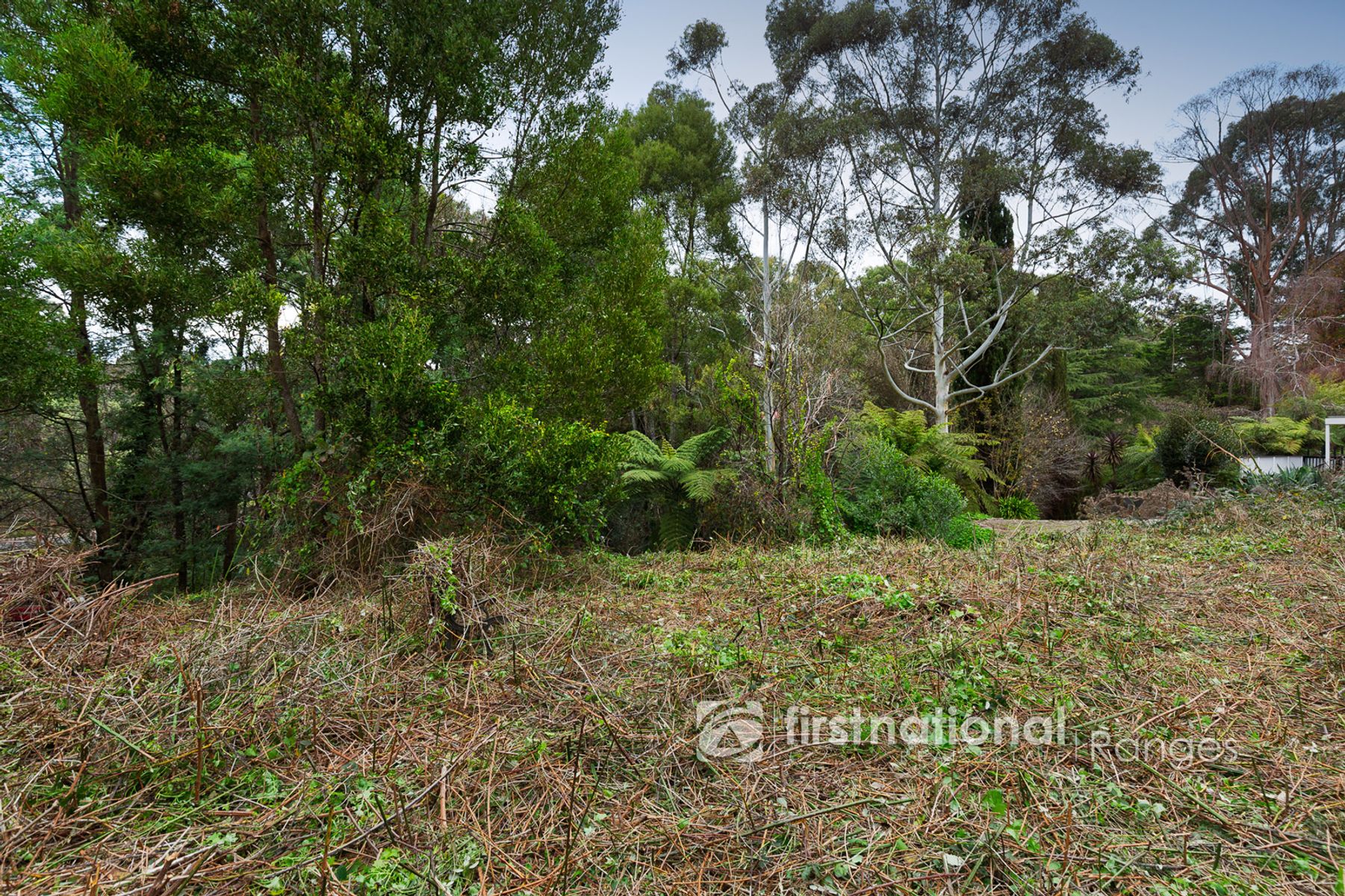 21-25 McAllister Road, Monbulk VIC 3793, Monbulk - Thumbnail 6