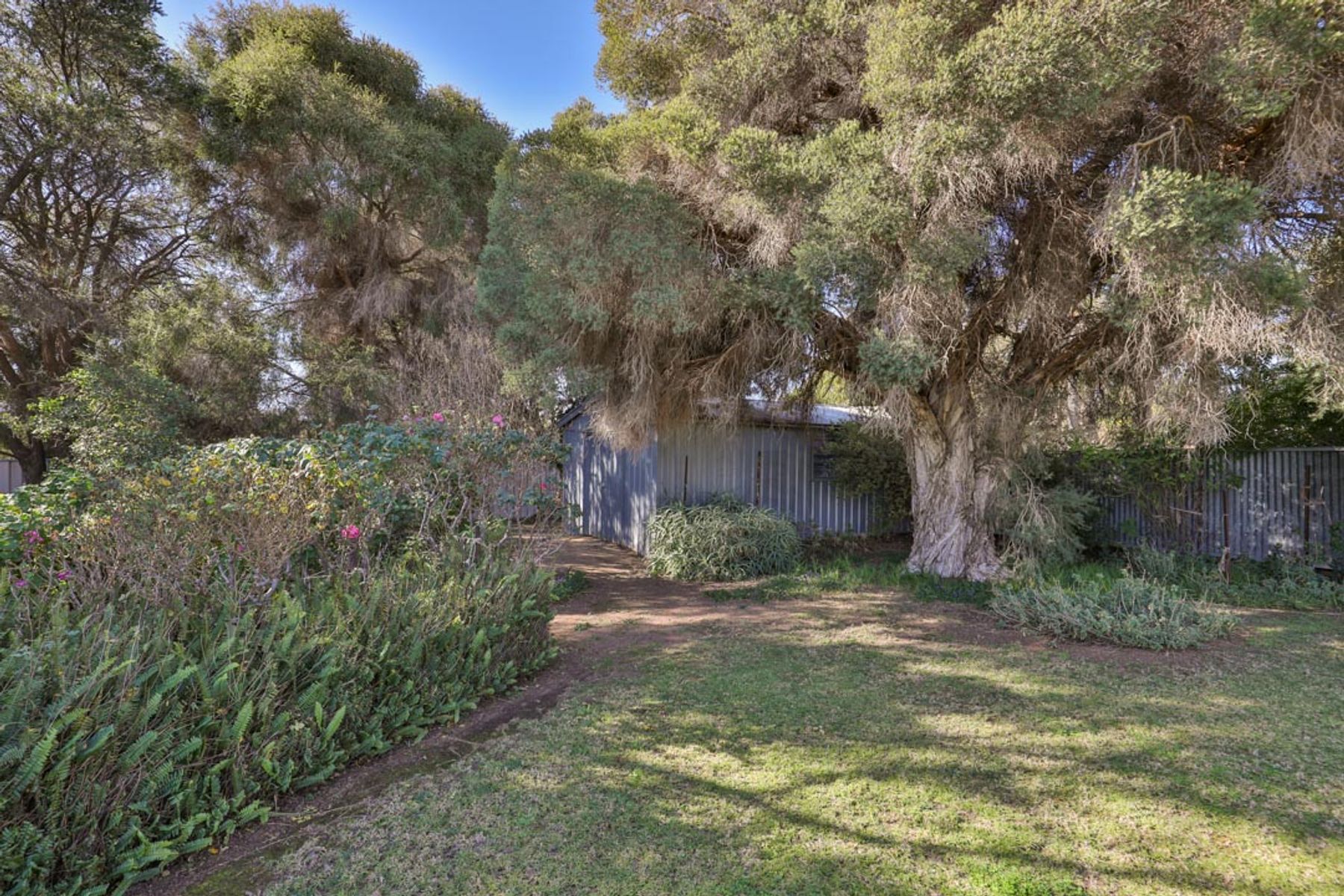 24 Hector Street, Mildura - Thumbnail 3