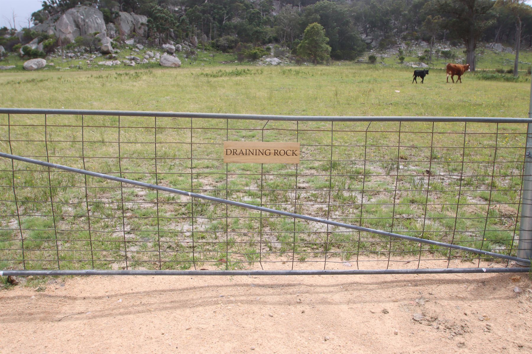 Lot 22 Kildare Road, Tenterfield NSW 2372, Tenterfield - Image 1