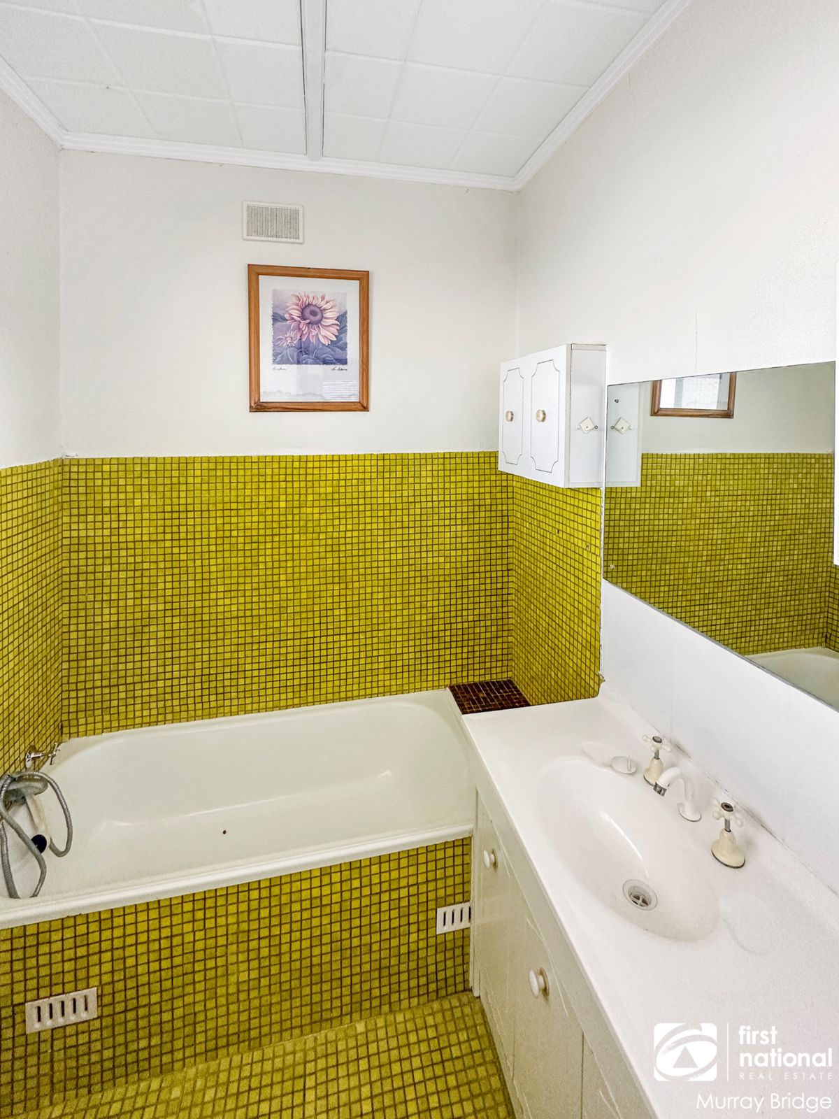 22 Eleanor Terrace, Murray Bridge SA 5253, Murray Bridge - Thumbnail 5
