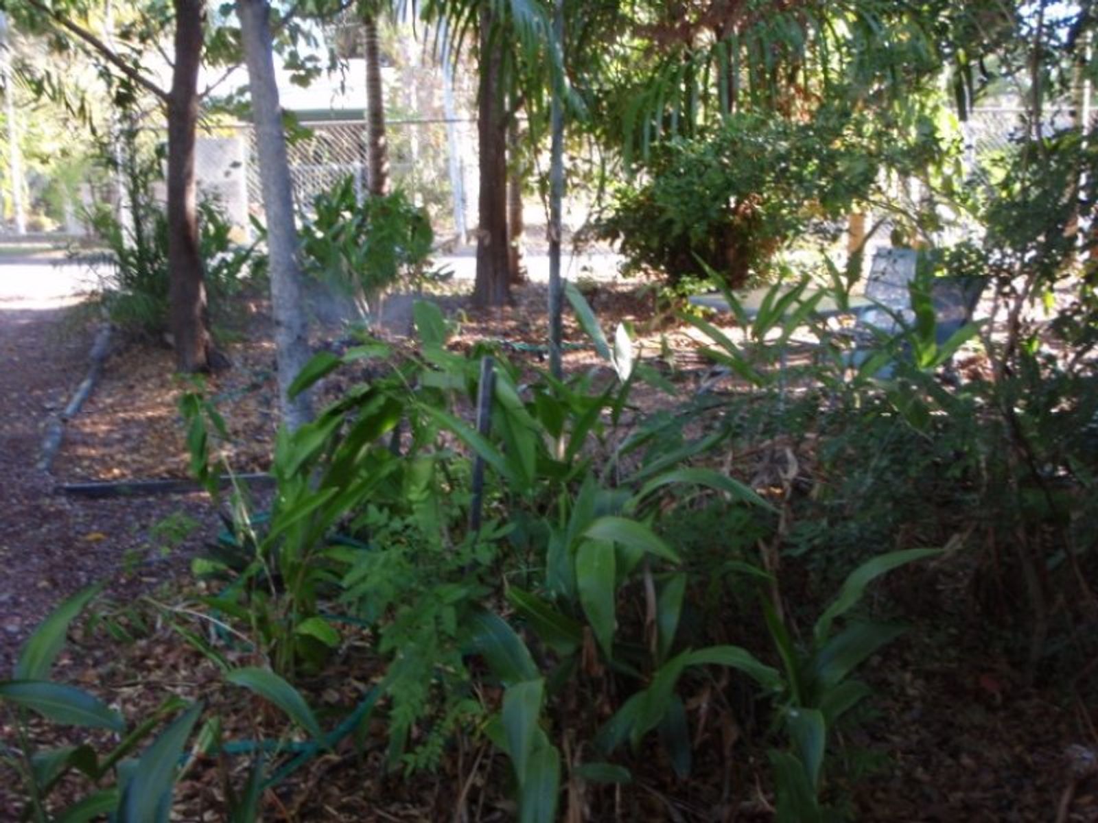 21 Colster Crescent, Wagaman NT 0810, Wagaman - Thumbnail 3