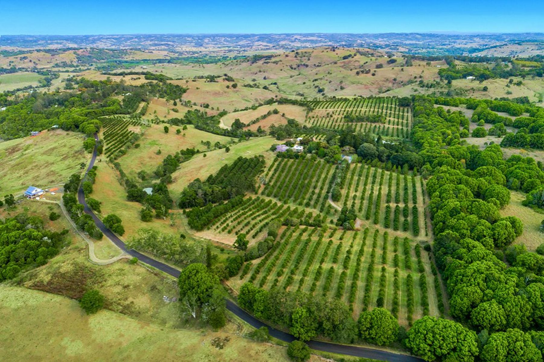 153 Hunters Hill Rd, Numulgi - Thumbnail 7