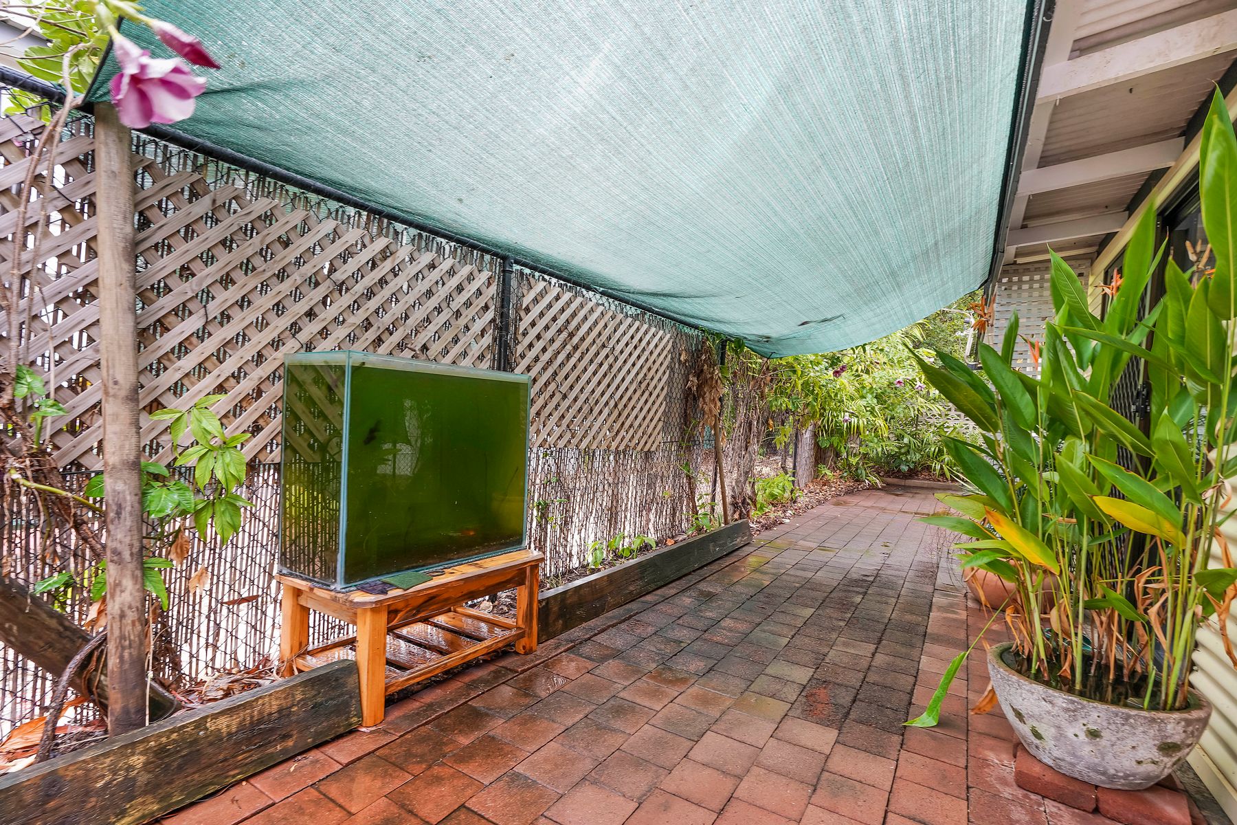 11/18 Cunjevoi Crescent, Nightcliff, NT 0810, Nightcliff - Thumbnail 8
