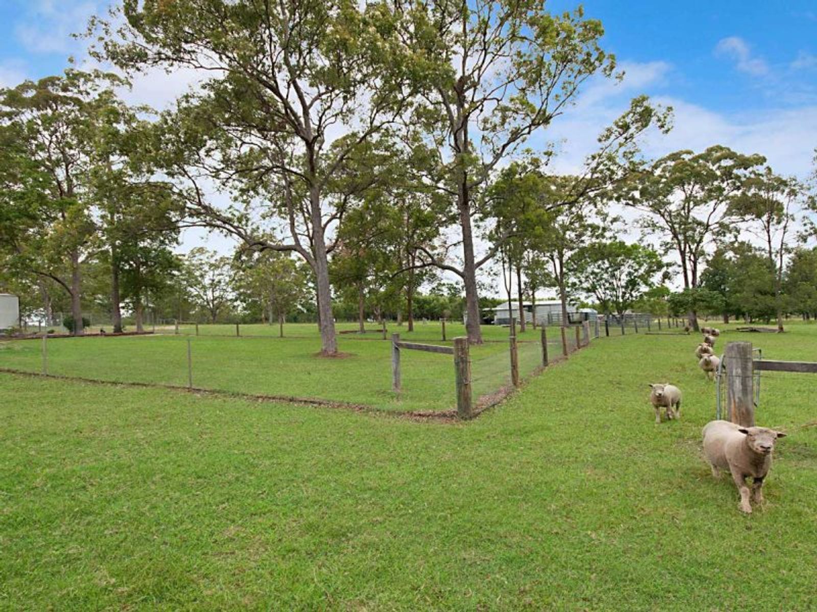 60 Kookami Rd, West Coraki - Thumbnail 7