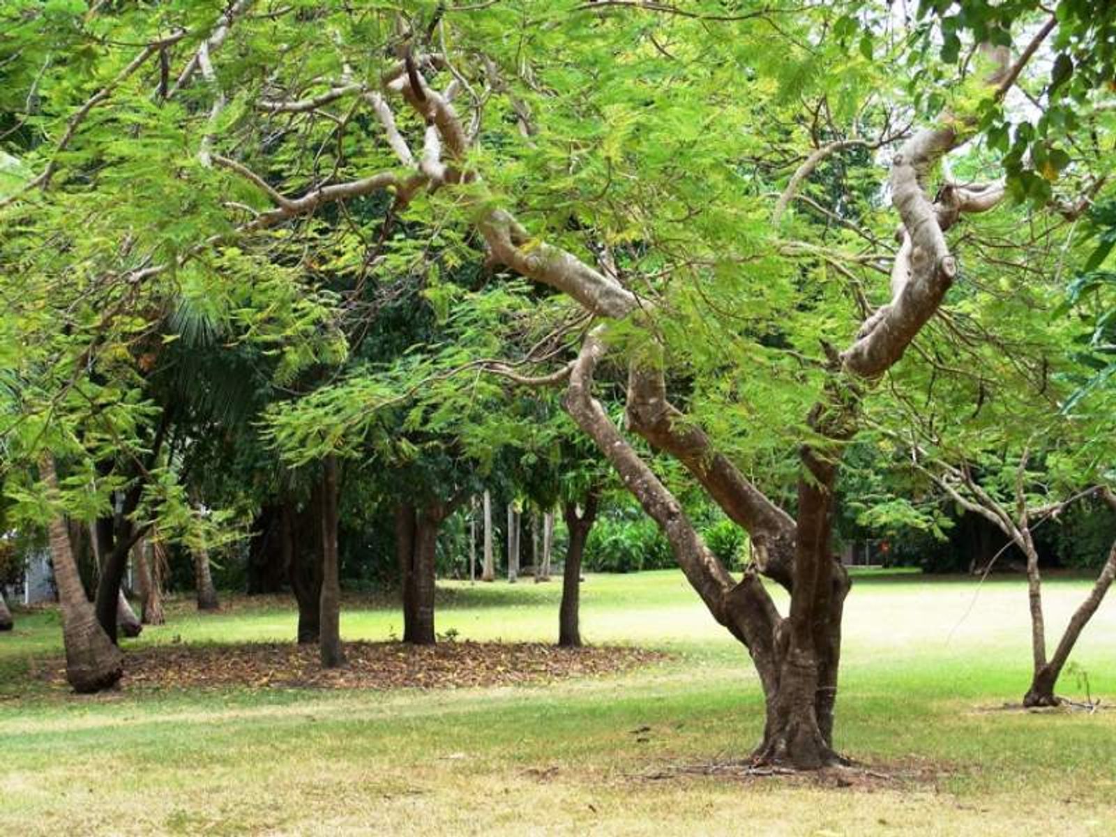 6/24 George Crescent, Fannie Bay NT 0820, Fannie Bay - Thumbnail 7