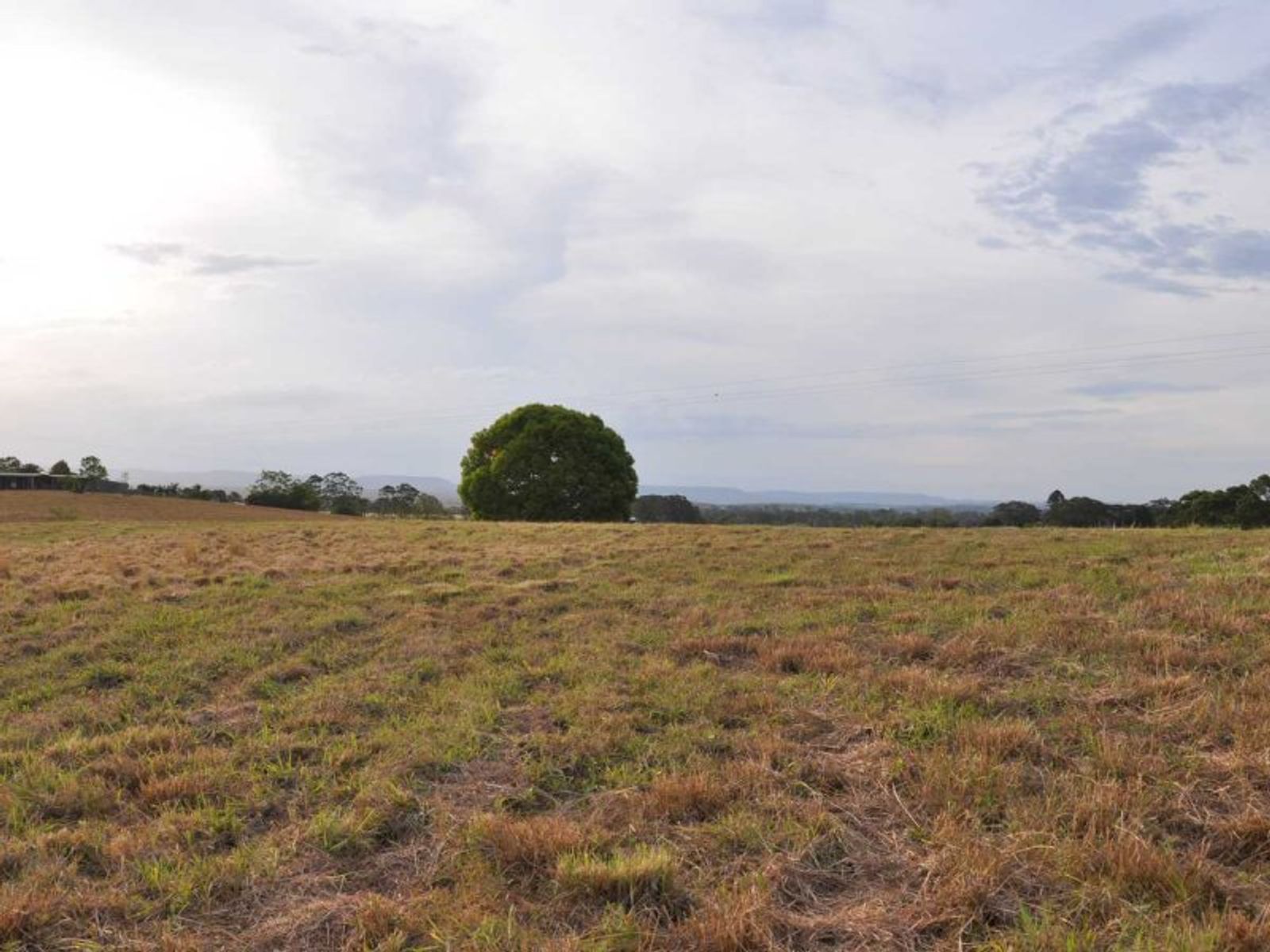3 View St, Fairy Hill - Thumbnail 7