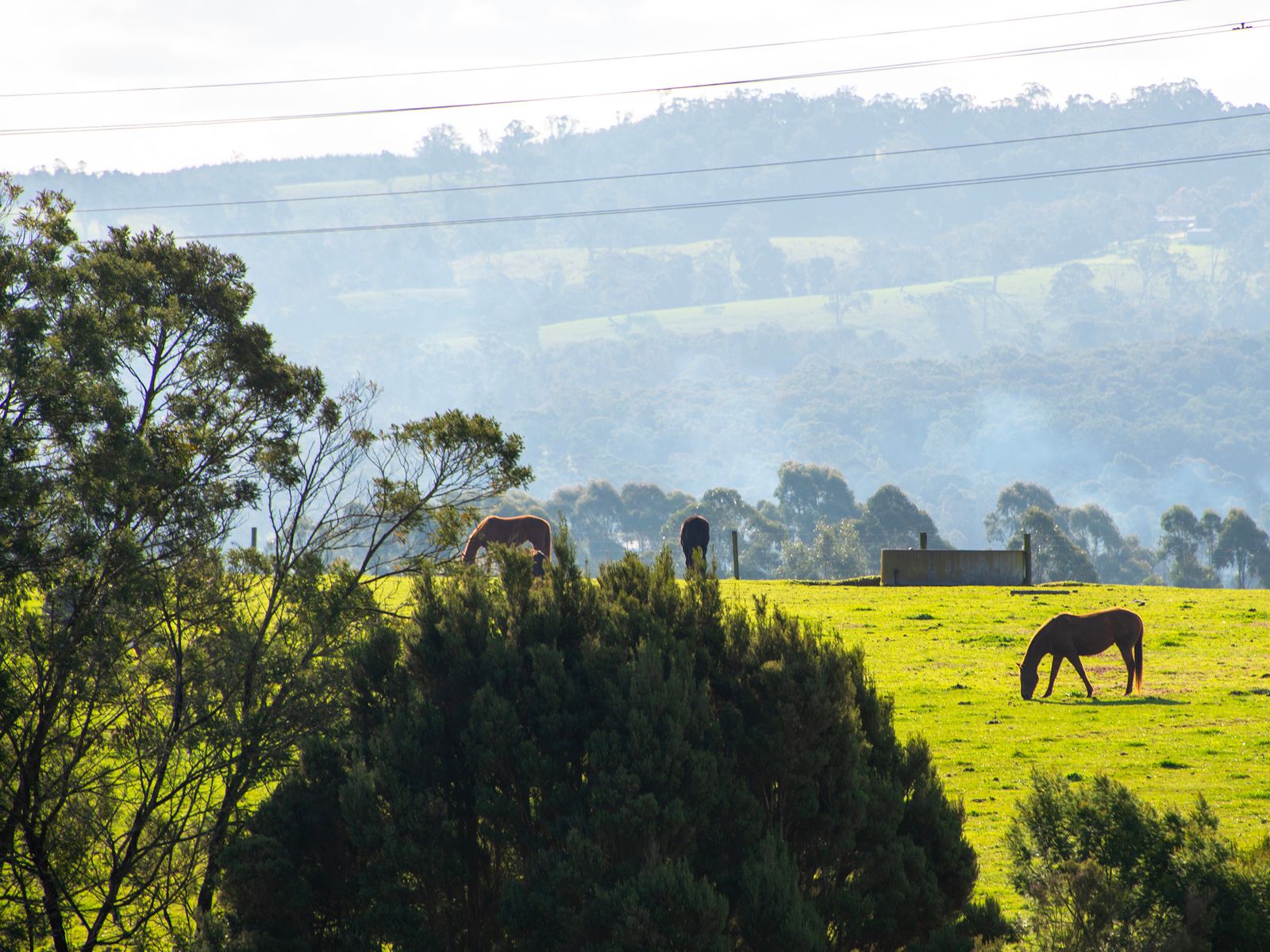 56 View Hill Drive, Traralgon, VIC 3844, Traralgon - Thumbnail 6