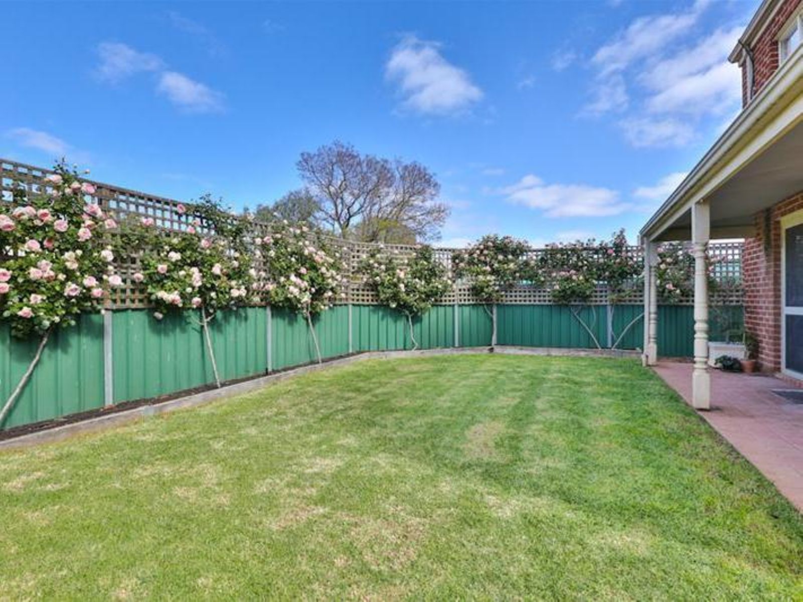 189 Twelfth Street, Mildura - Thumbnail 6