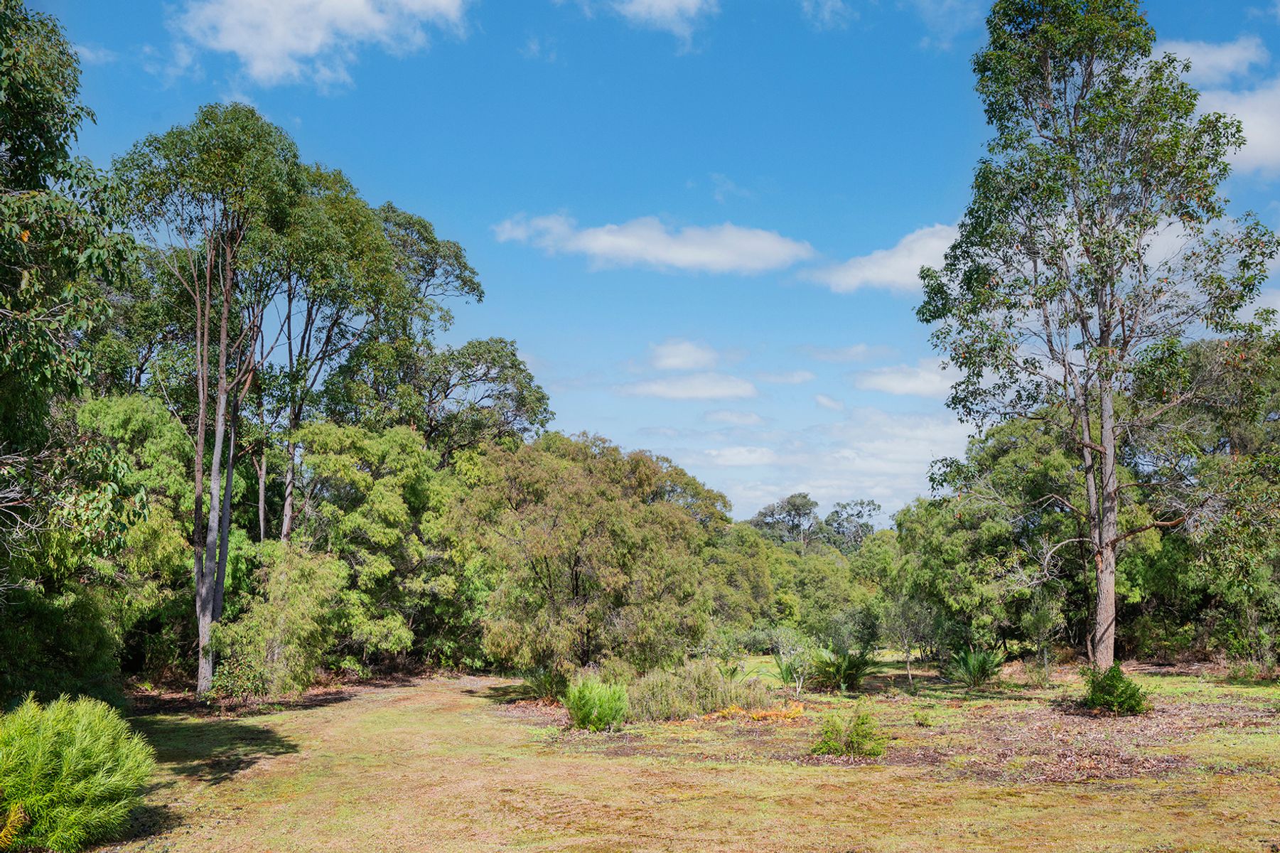 Lot Y/423 Sebbes Road, Forest Grove WA 6286, Forest Grove - Thumbnail 4