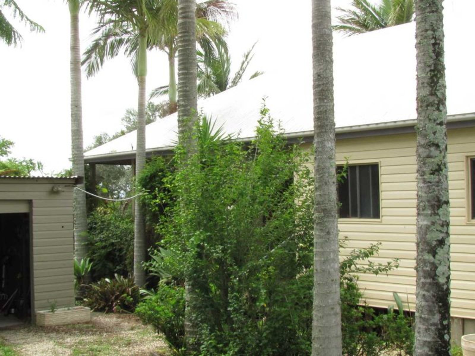 11 Lees Ave, Casino - Thumbnail 4