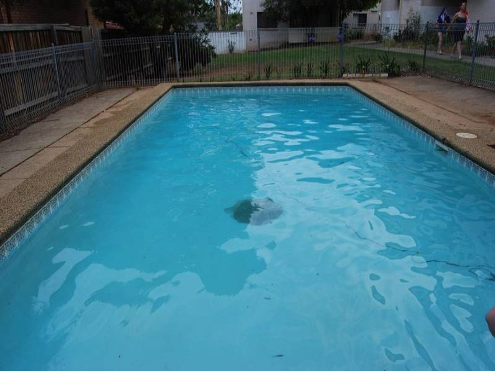 Kingswood NSW 2747, Kingswood - Thumbnail 4