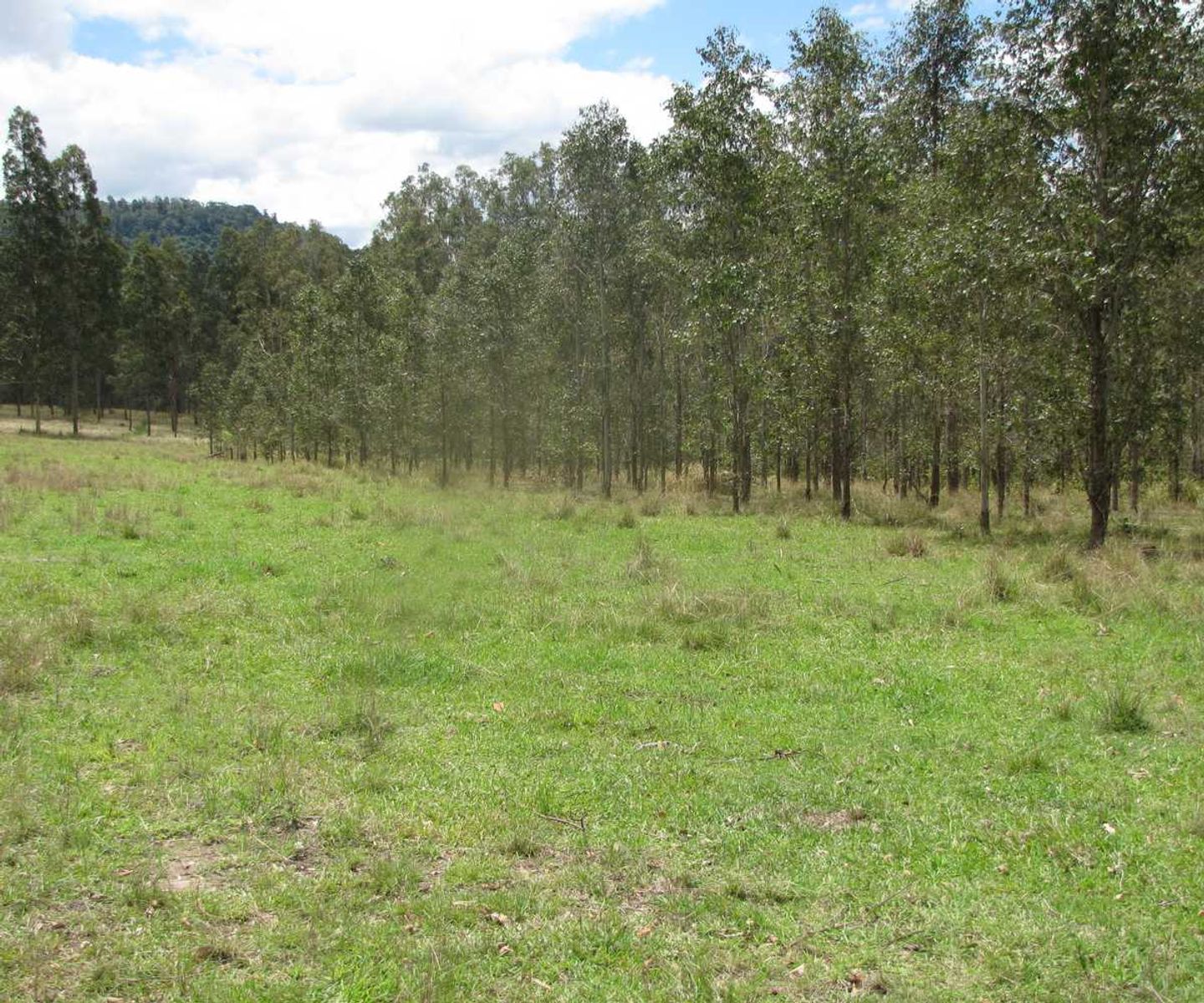 Rogarra Clarence Way, Bottle Creek - Thumbnail 5