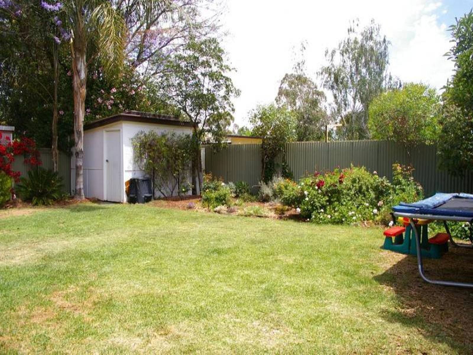 7 Kurrajong Parade, Mildura - Thumbnail 5