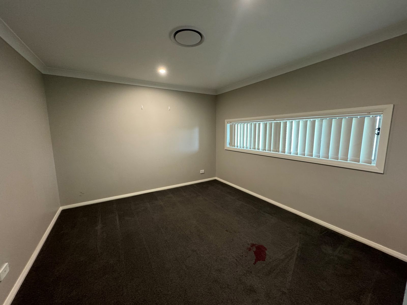 33 McKeachie Drive, Aberglasslyn NSW 2320, Aberglasslyn - Thumbnail 8