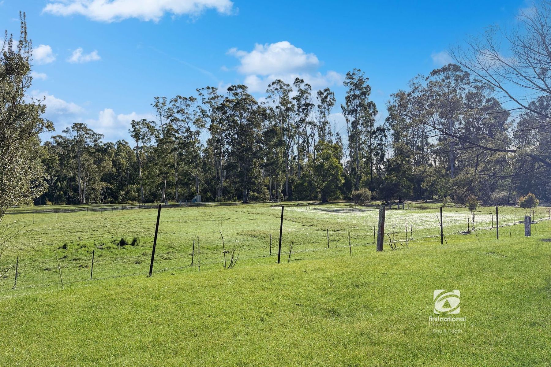 365 Bruthen-Buchan Road, Nowa Nowa VIC 3887, Nowa Nowa - Thumbnail 5
