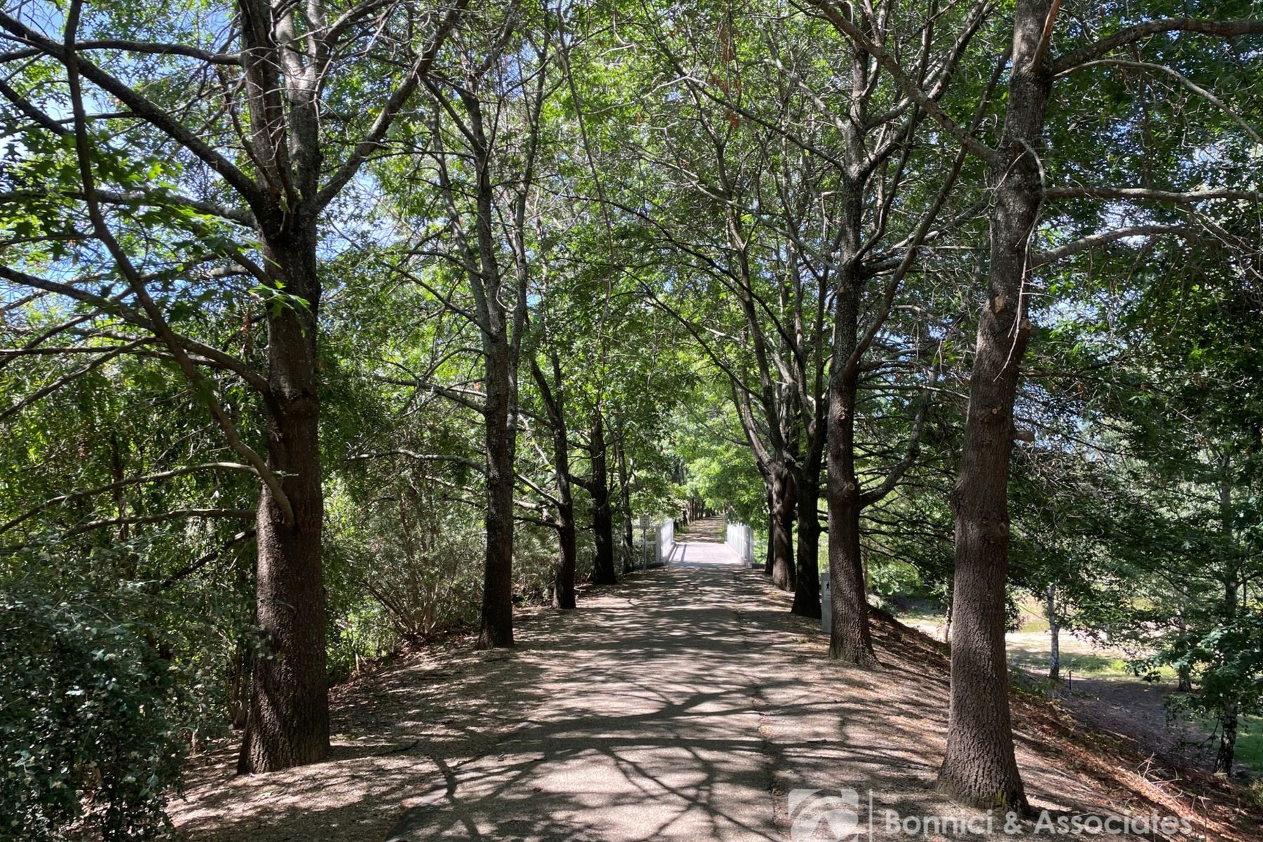 Lot 3 Silver Court, Beechworth VIC 3747, Beechworth - Thumbnail 7
