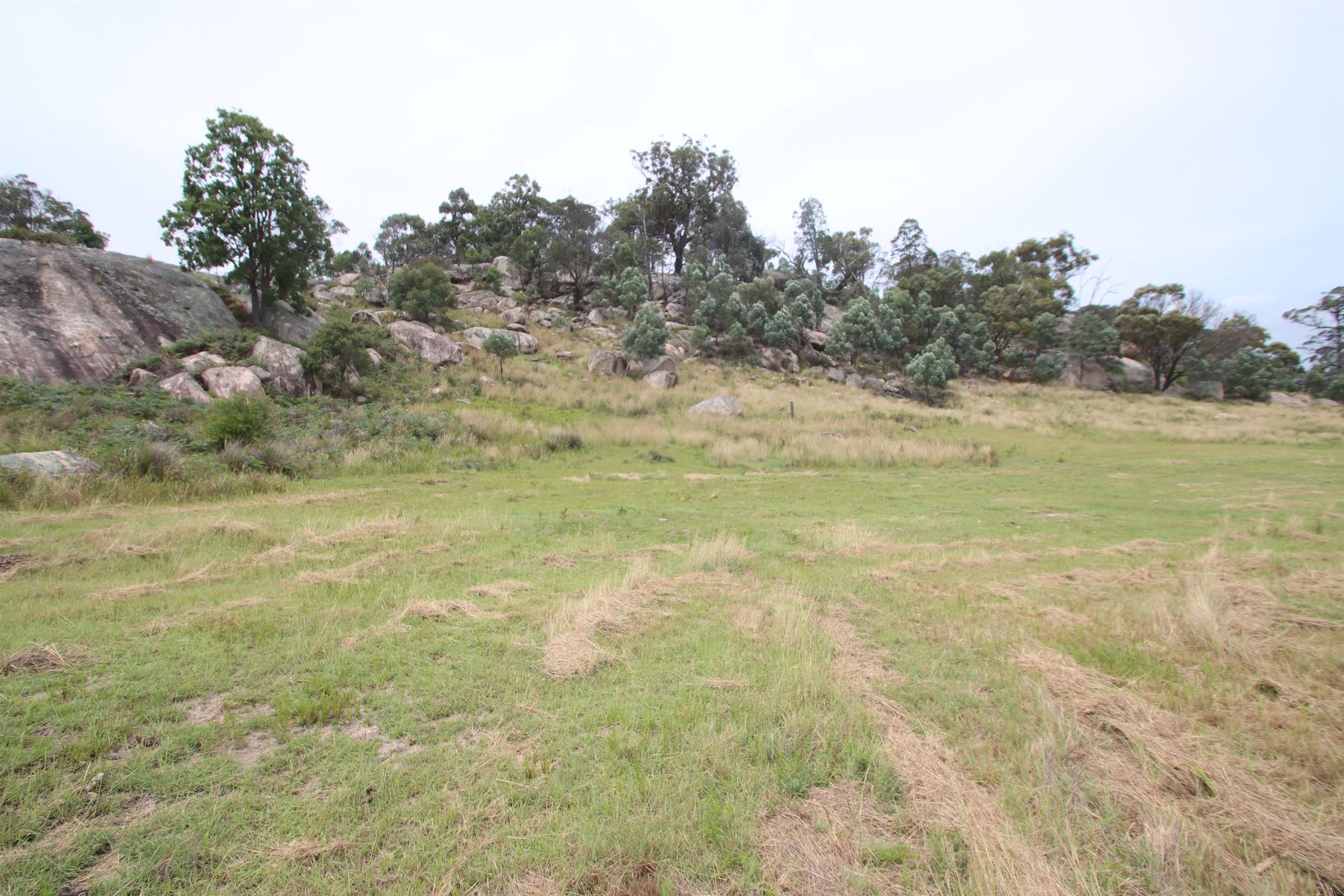 Lot 21 Kildare Road, Tenterfield NSW 2372, Tenterfield - Thumbnail 7