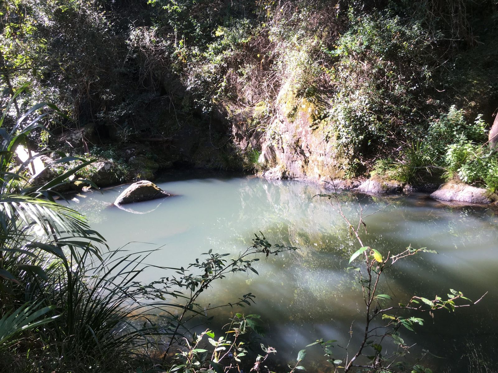 114 Maso Rd, Repentance Creek - Thumbnail 8