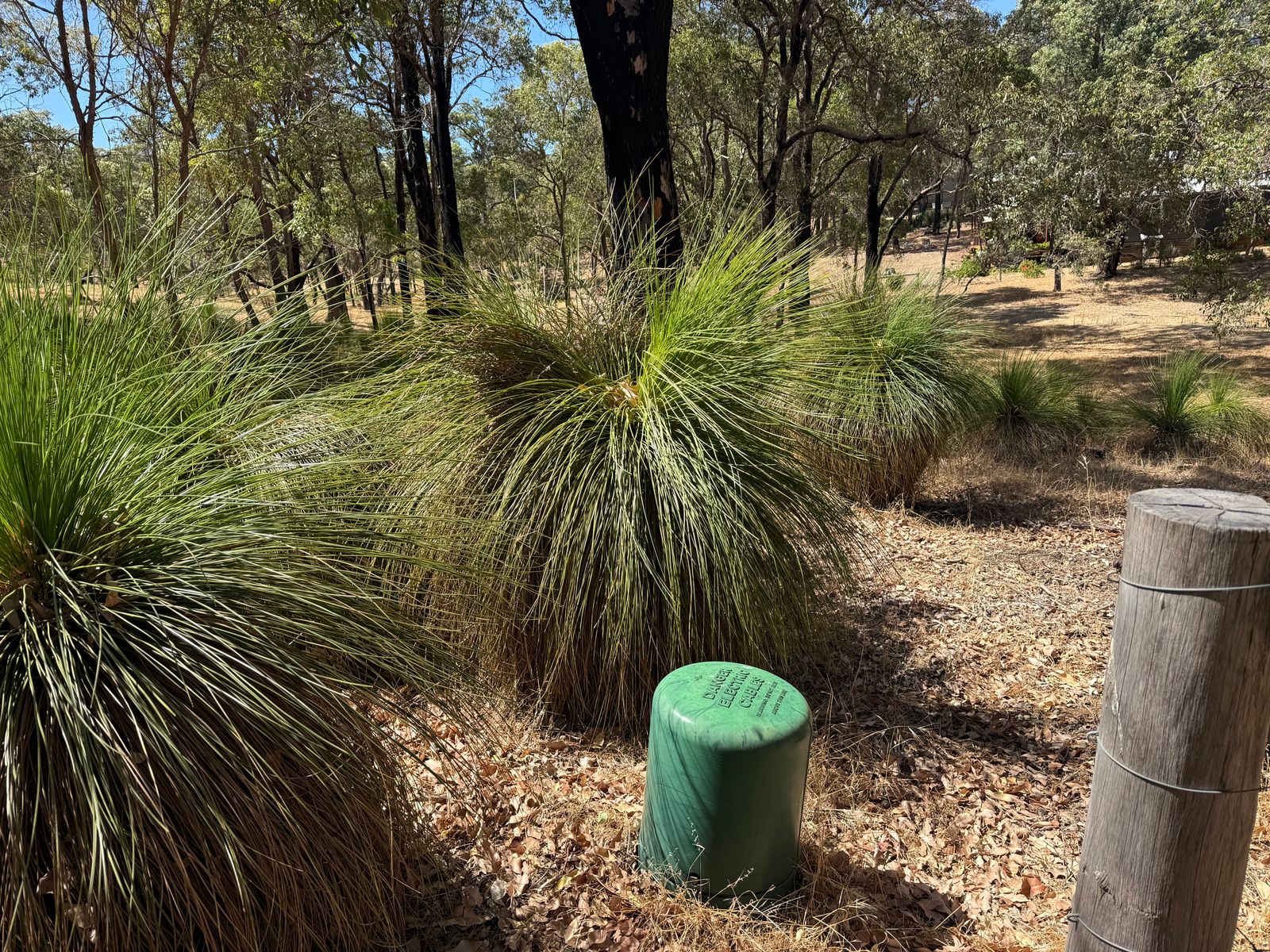 59 Lyons Road, Waroona WA 6215, Waroona - Thumbnail 5