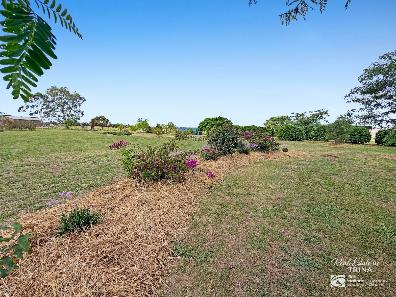 9 Marsden Court, Chinchilla QLD 4413, Chinchilla - Thumbnail 5
