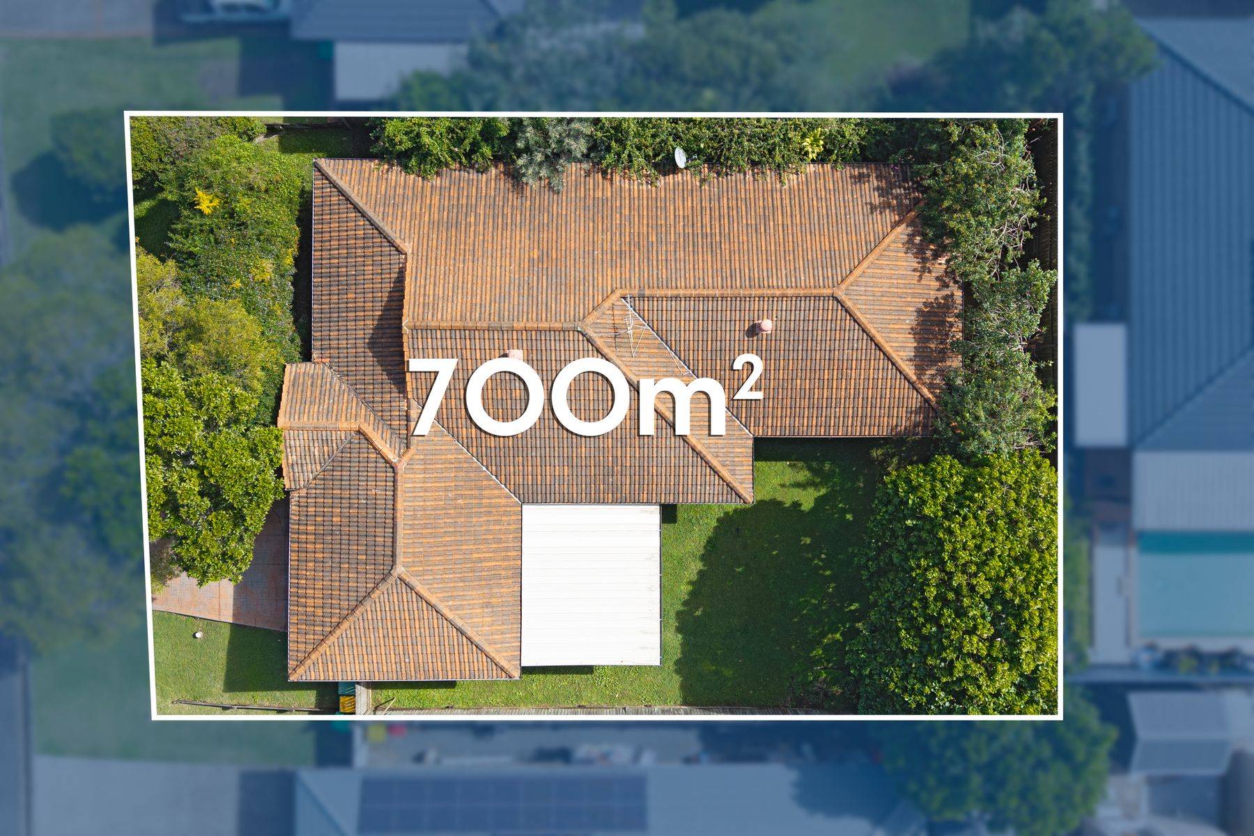 3 Dalmaso Close, Birkdale QLD 4159, Birkdale - Thumbnail 2