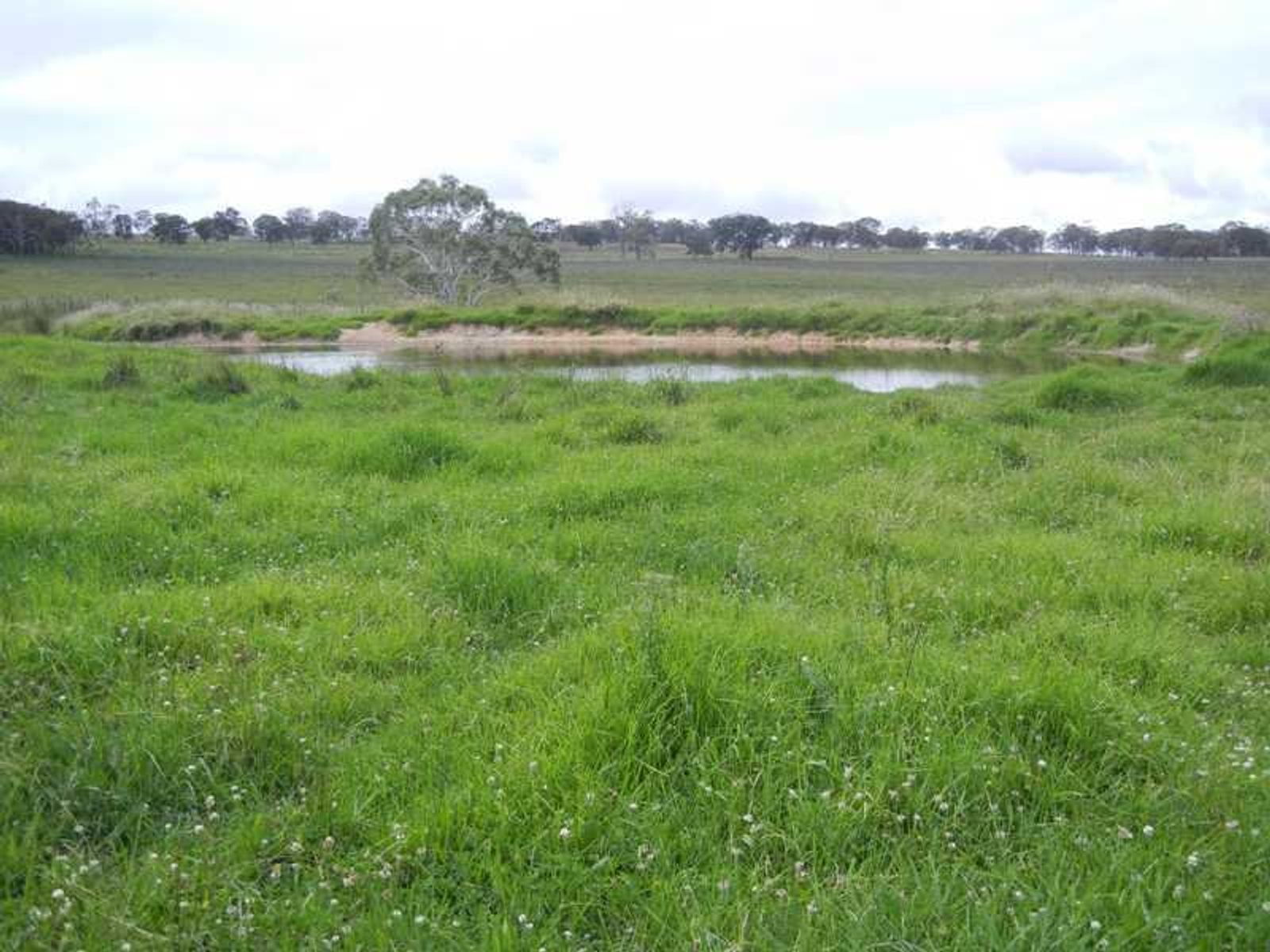 Warwick QLD 4370, Warwick - Thumbnail 8