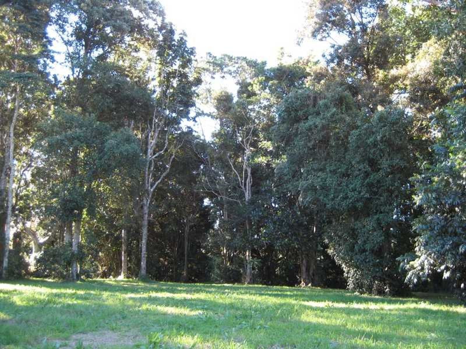 Philpotts Farm Lismore Road NSW 2480, Philpotts Farm Lismore Road - Thumbnail 5