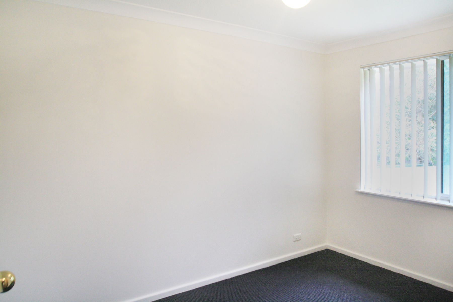 19 Regiment Road, Rutherford NSW 2320, Rutherford - Thumbnail 7