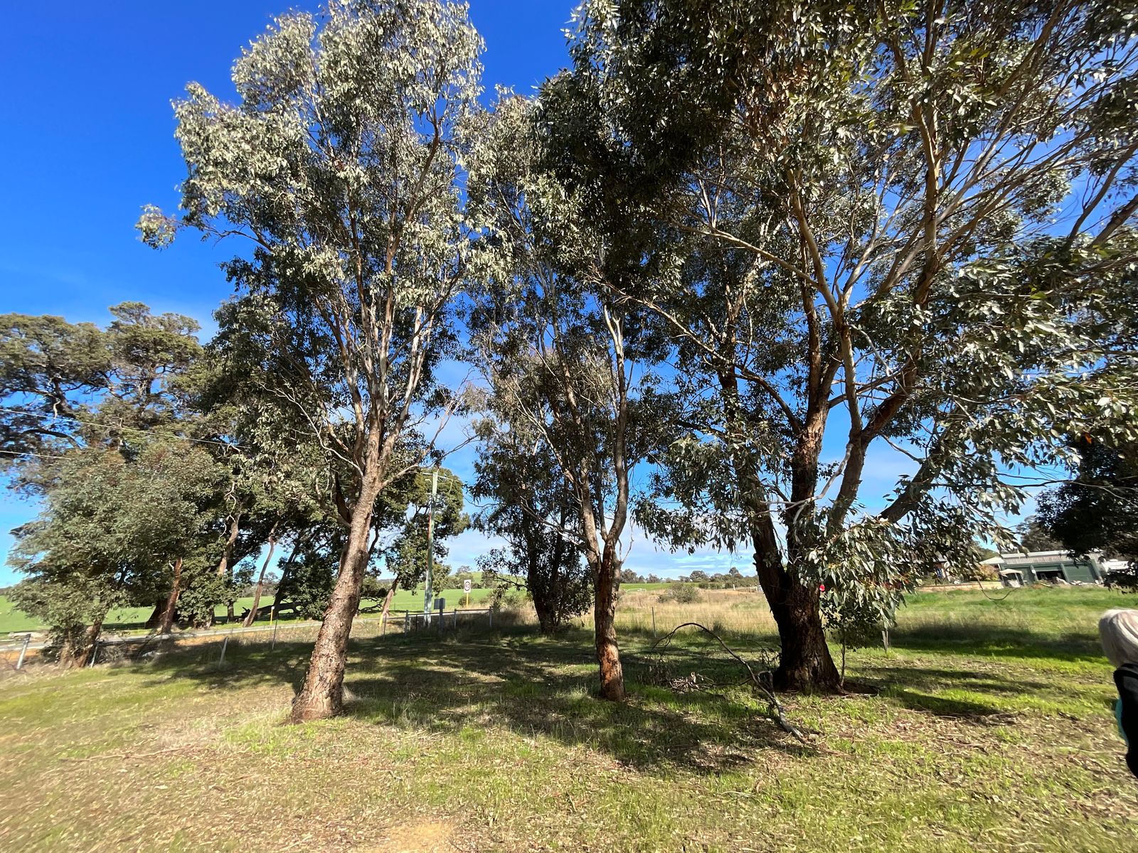 Lot 50 Pinjarra Williams Road, Quindanning WA 6391, Quindanning - Thumbnail 4