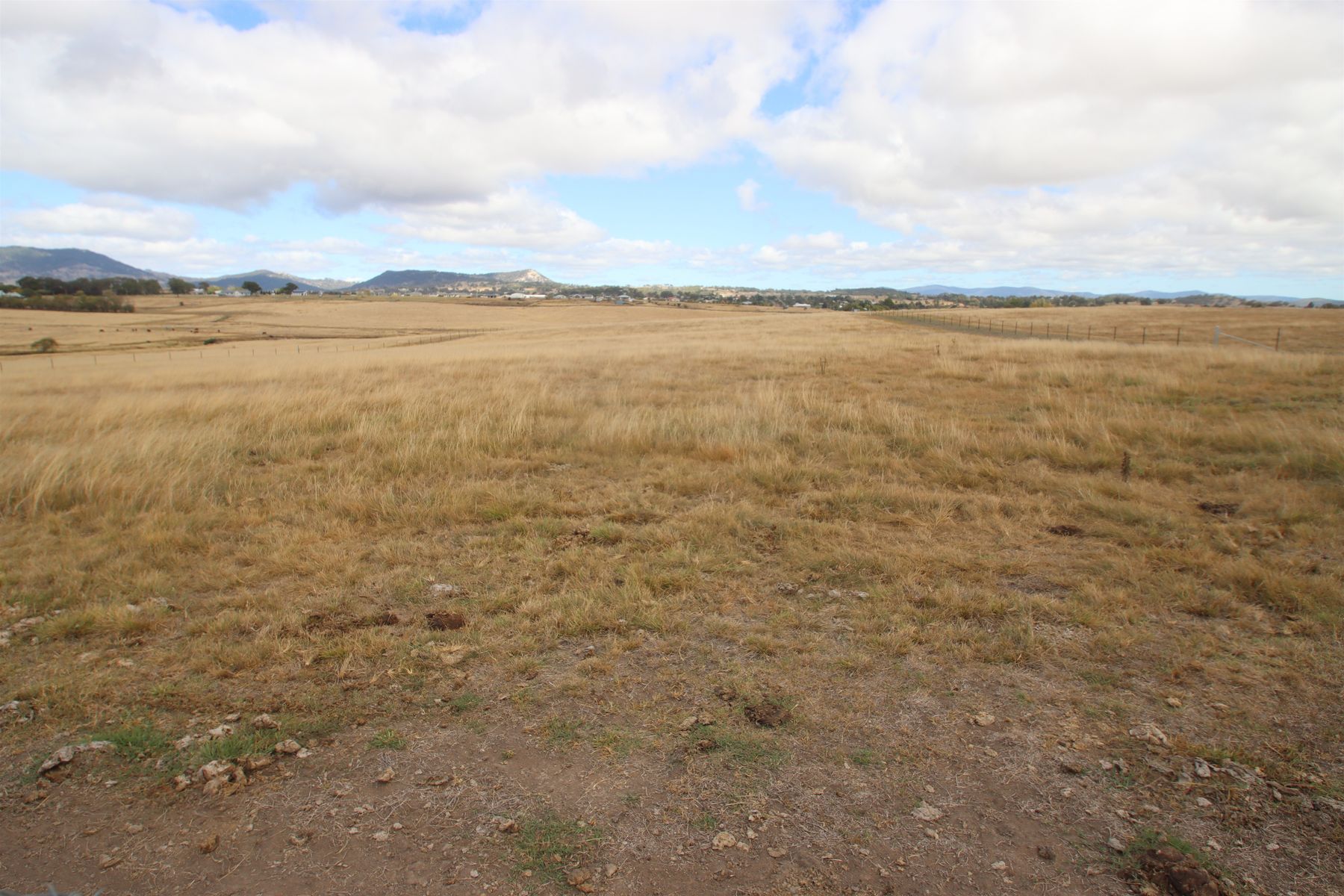 113A Bellevue Road, Tenterfield NSW 2372, Tenterfield - Thumbnail 4
