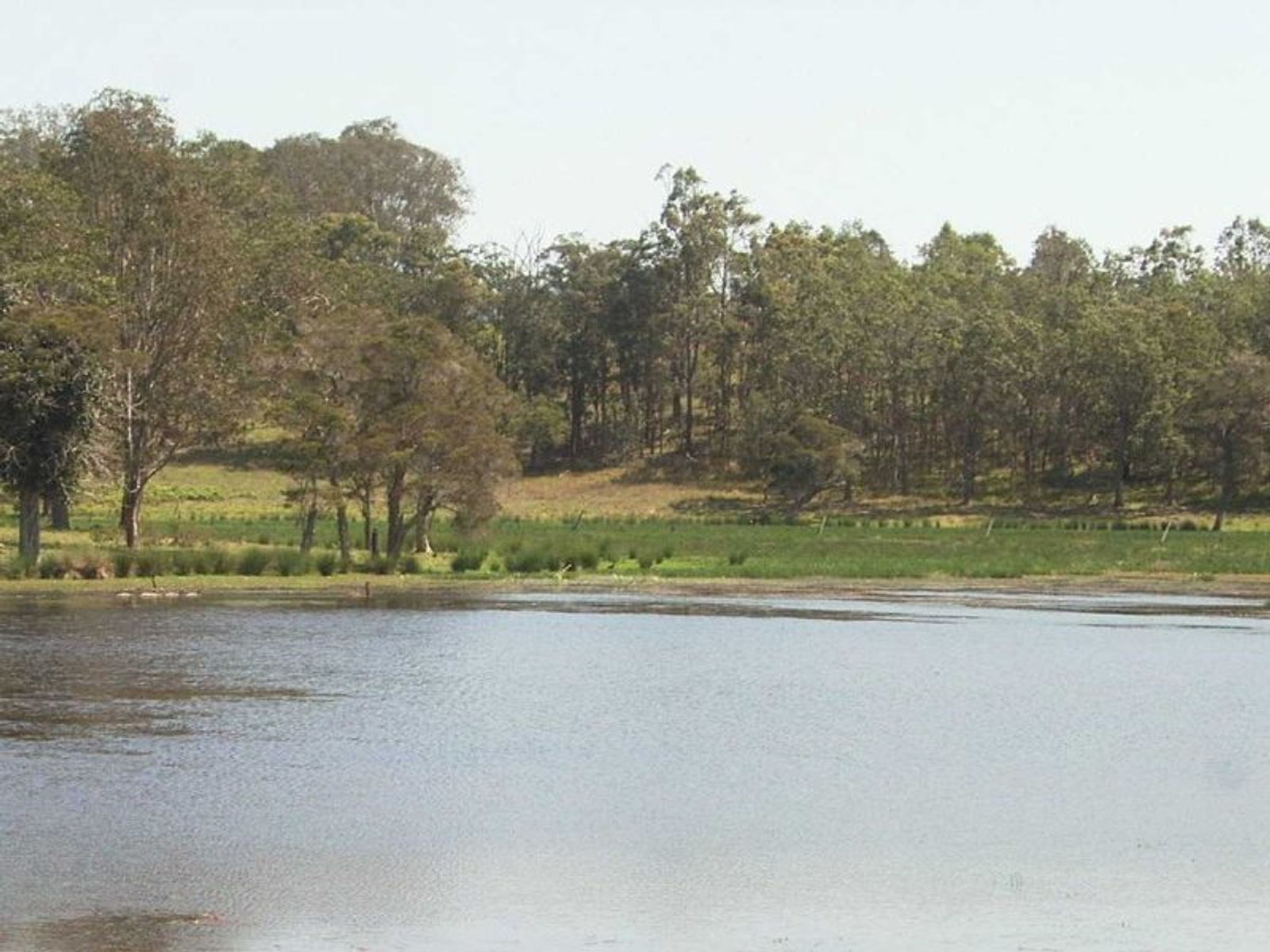 1139 Old Dyraaba Rd, Dyraaba - Thumbnail 6