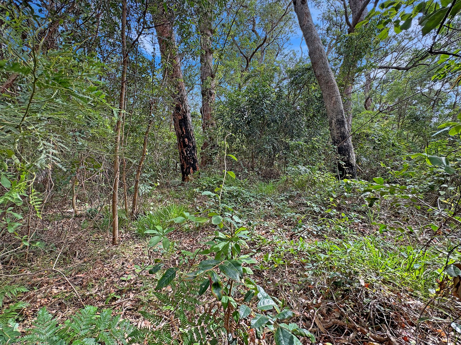 Lot 11 Lot 11 Lackersteen Street, Callala Bay NSW 2540, Callala Bay - Thumbnail 3