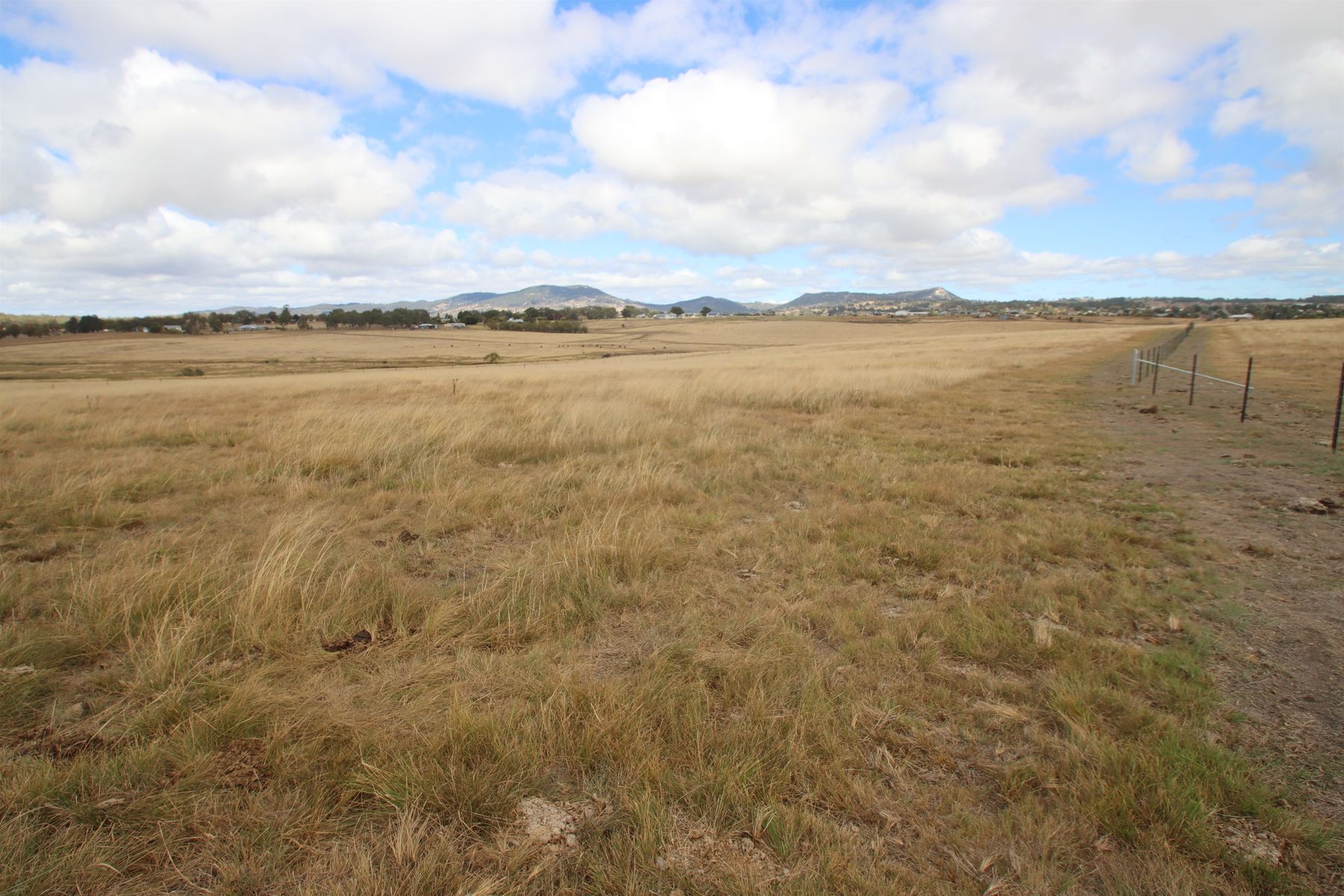 113A Bellevue Road, Tenterfield NSW 2372, Tenterfield - Thumbnail 3