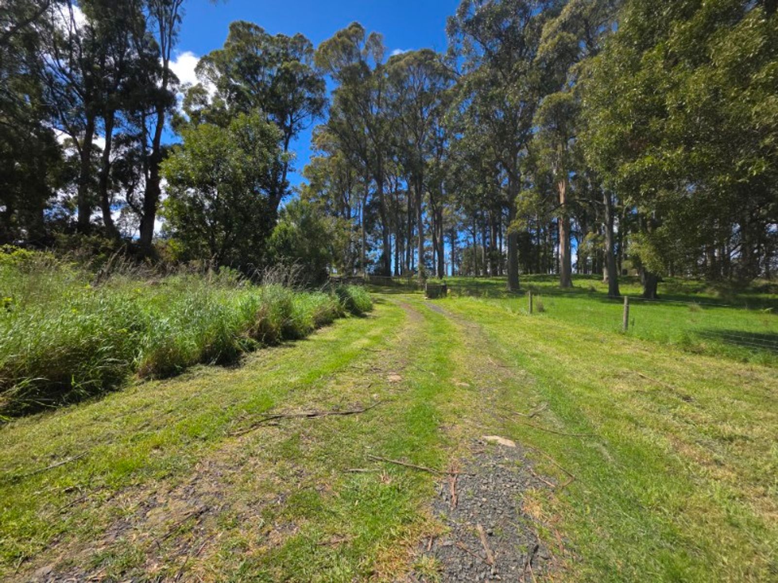 Mole Creek TAS 7304, Mole Creek - Thumbnail 6