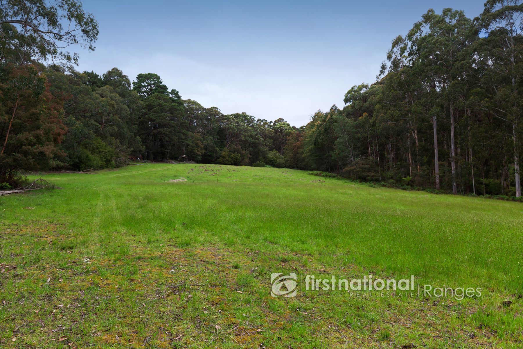 171 Stewart Road, Emerald VIC 3782, Emerald - Thumbnail 6