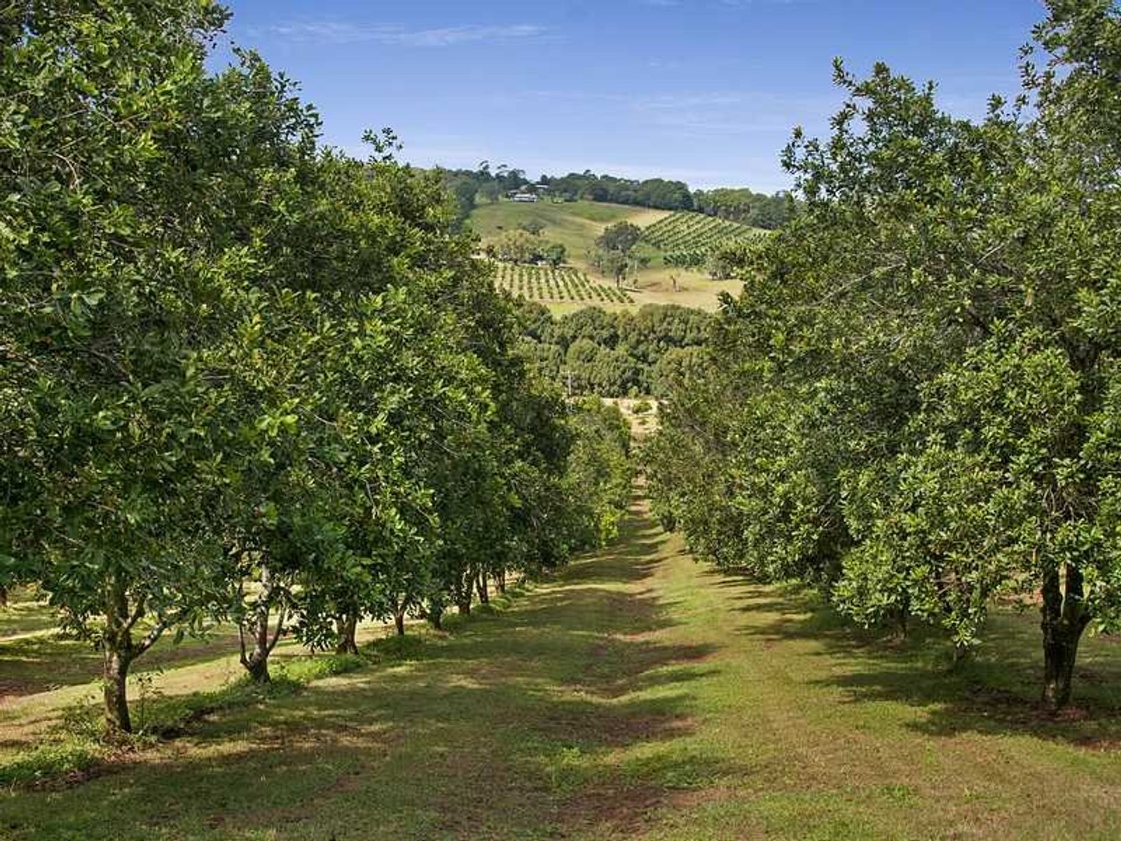 567 Humpty Back Road, Pearces Creek - Thumbnail 6