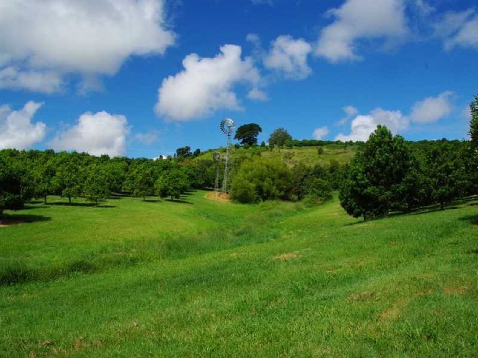 254 Kirklands Lane, Fernleigh - Thumbnail 7