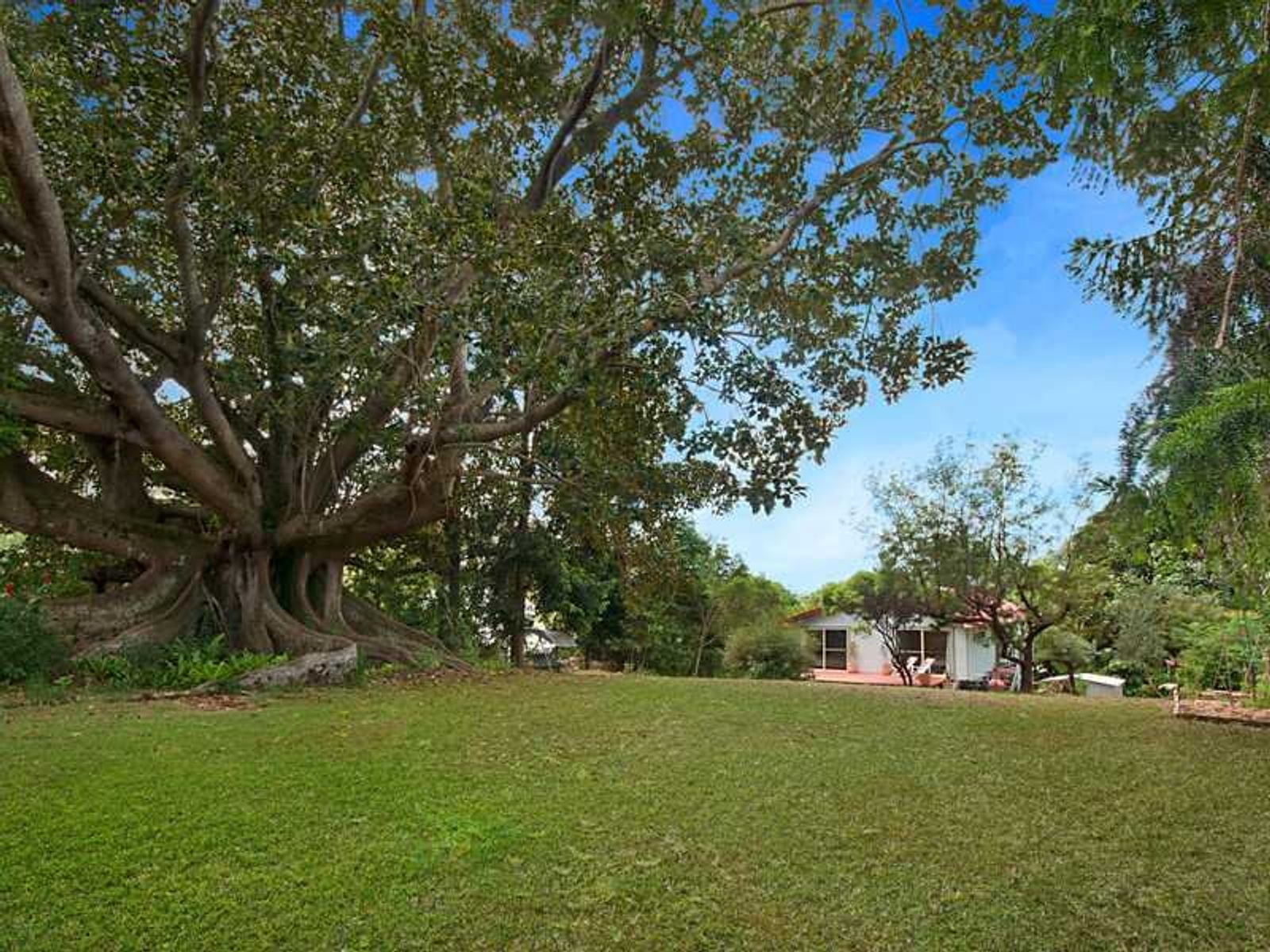25 Smith Street, Clunes - Thumbnail 5
