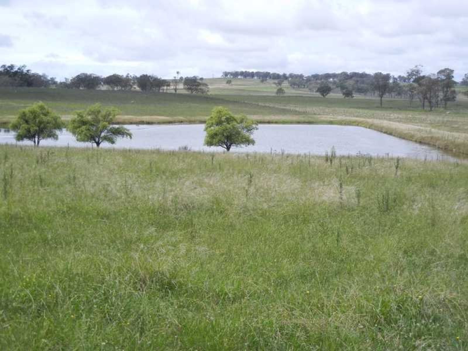 Warwick QLD 4370, Warwick - Thumbnail 7