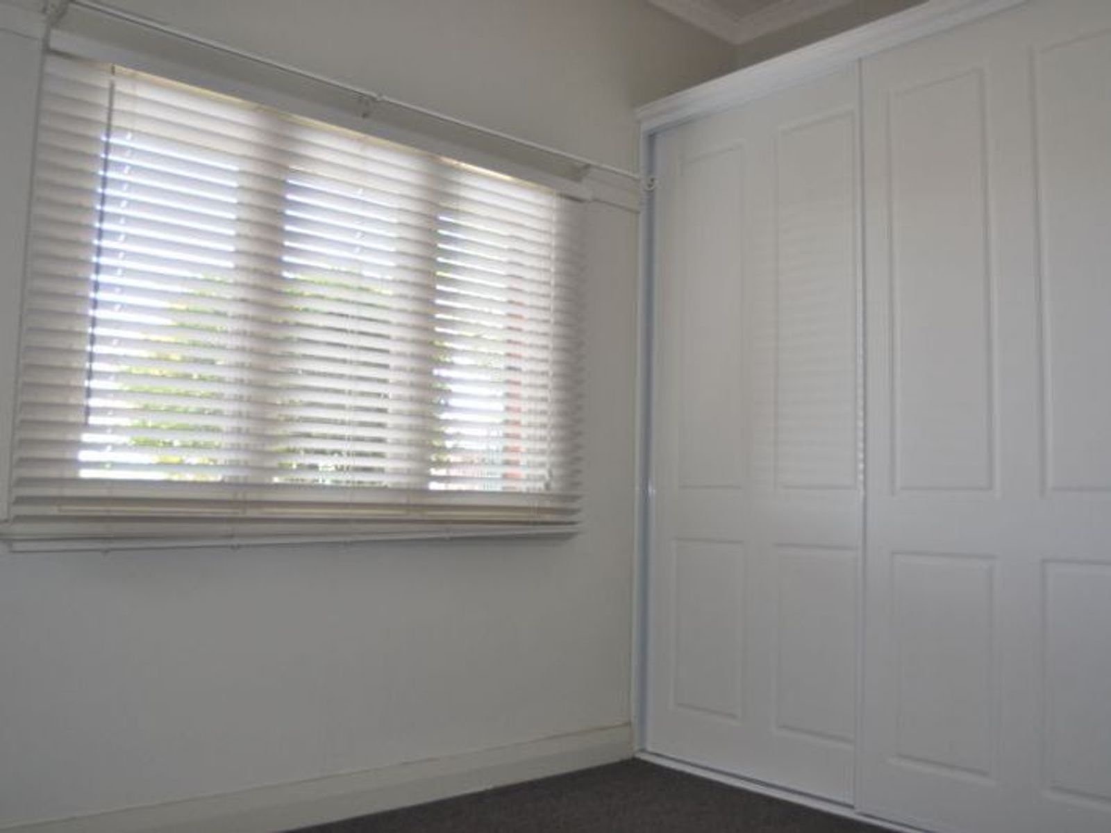 265 Bentinck Street, Bathurst NSW 2795, Bathurst - Thumbnail 3