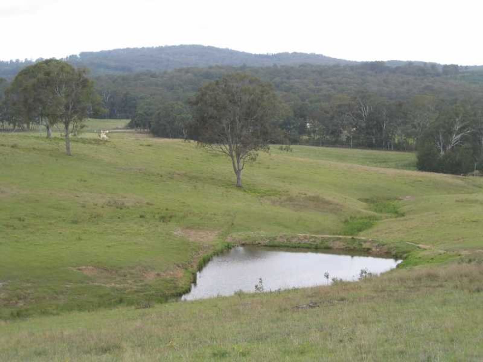 Legume NSW 2476, Legume - Thumbnail 5