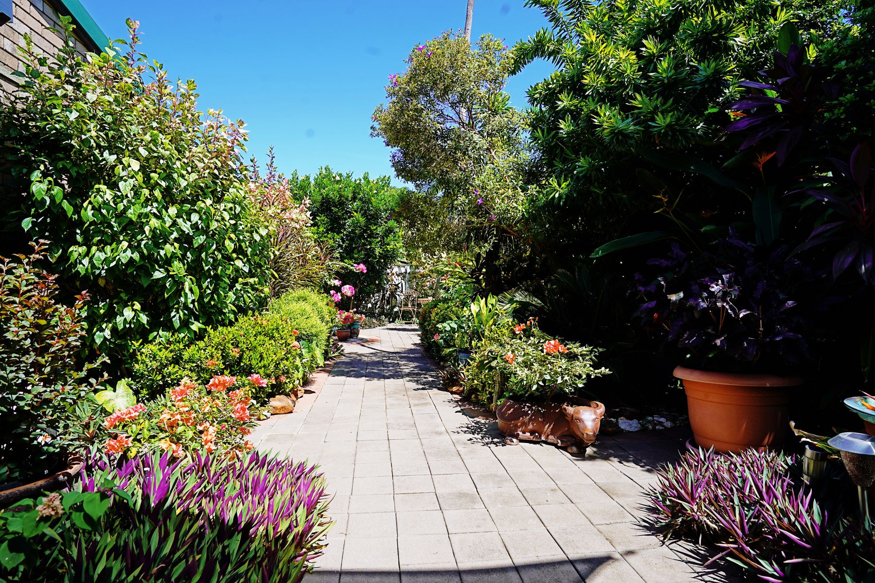 3/127 Dick Ward Drive, Coconut Grove NT 0810, Coconut Grove - Thumbnail 3