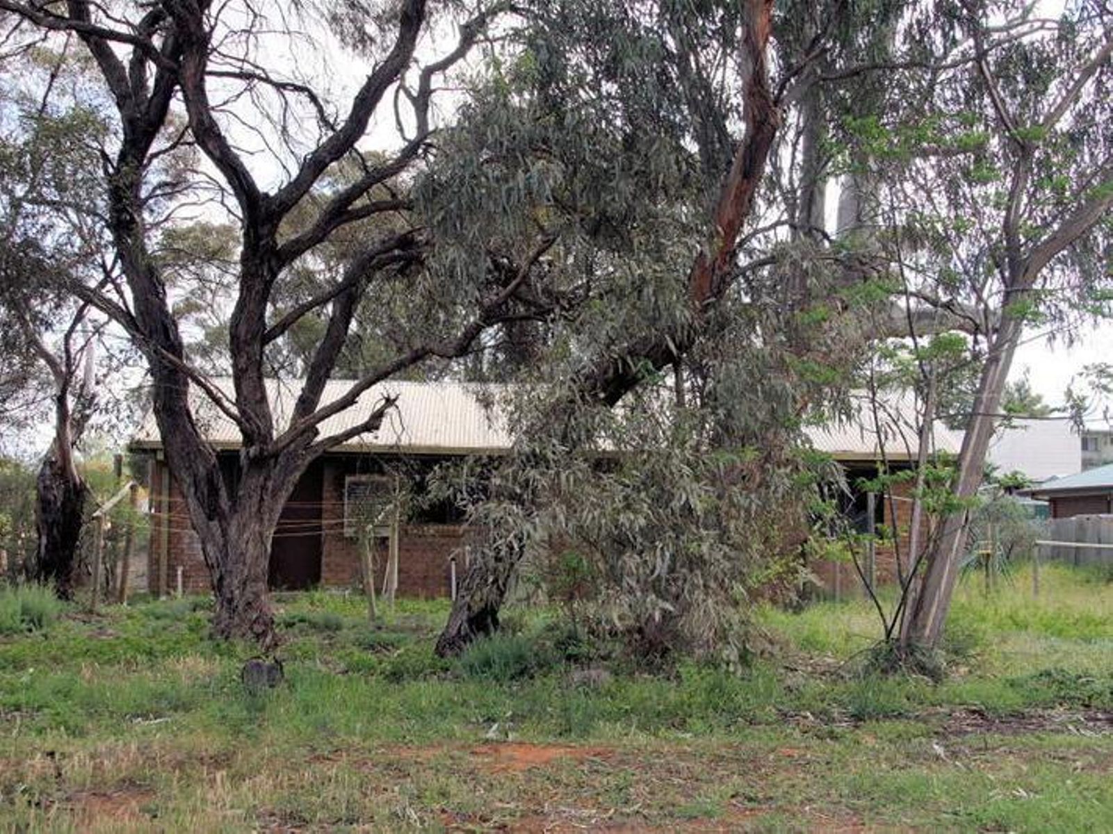 1 Reserve Road, Red Cliffs - Thumbnail 2