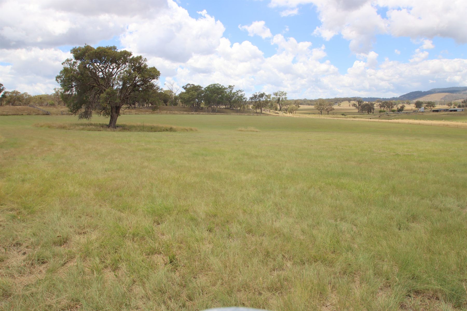110B Sunnyside Platform Road, Tenterfield NSW 2372, Tenterfield - Thumbnail 5