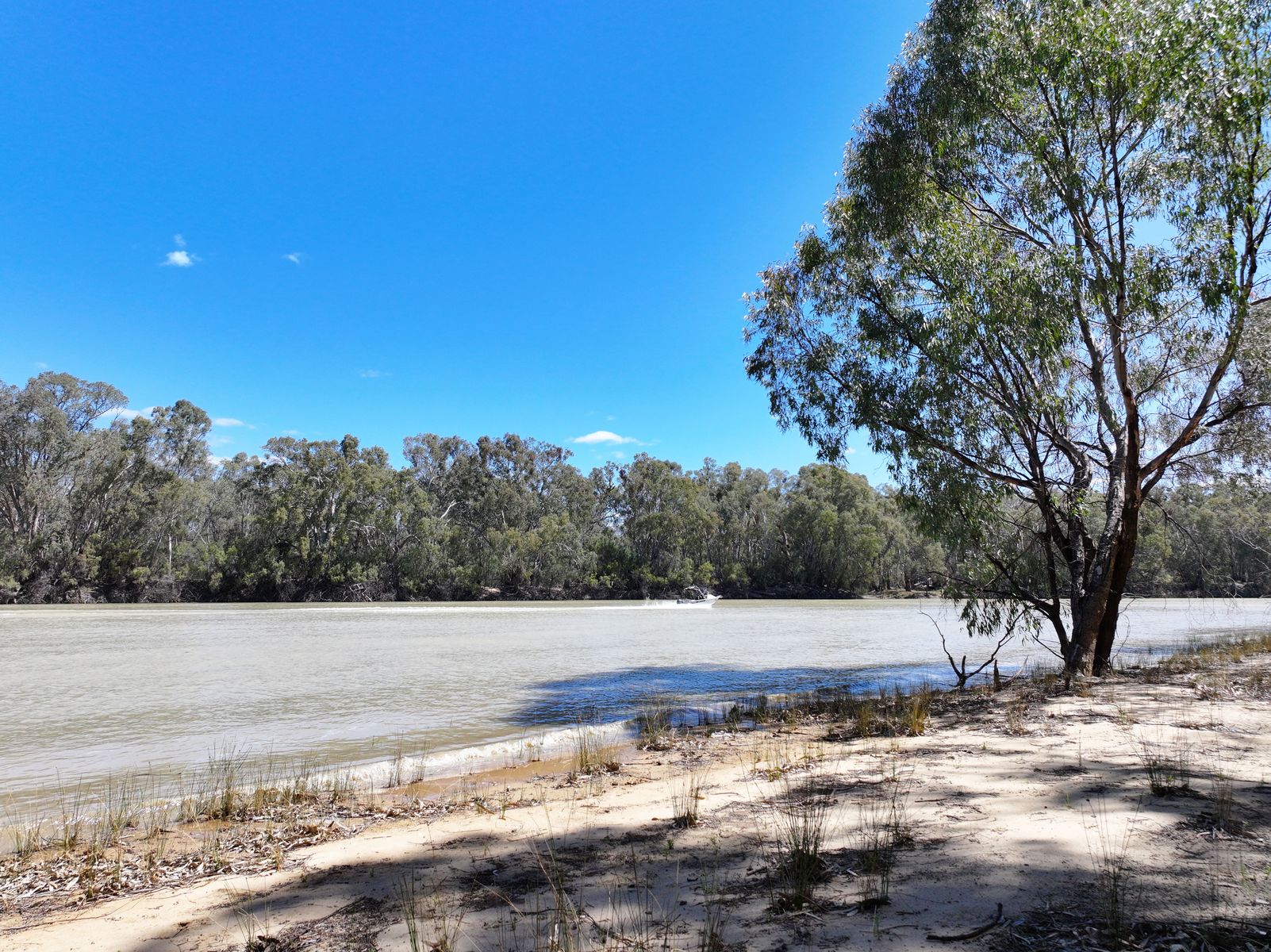 Lot 14 Renmark Road, Wentworth - Thumbnail 3