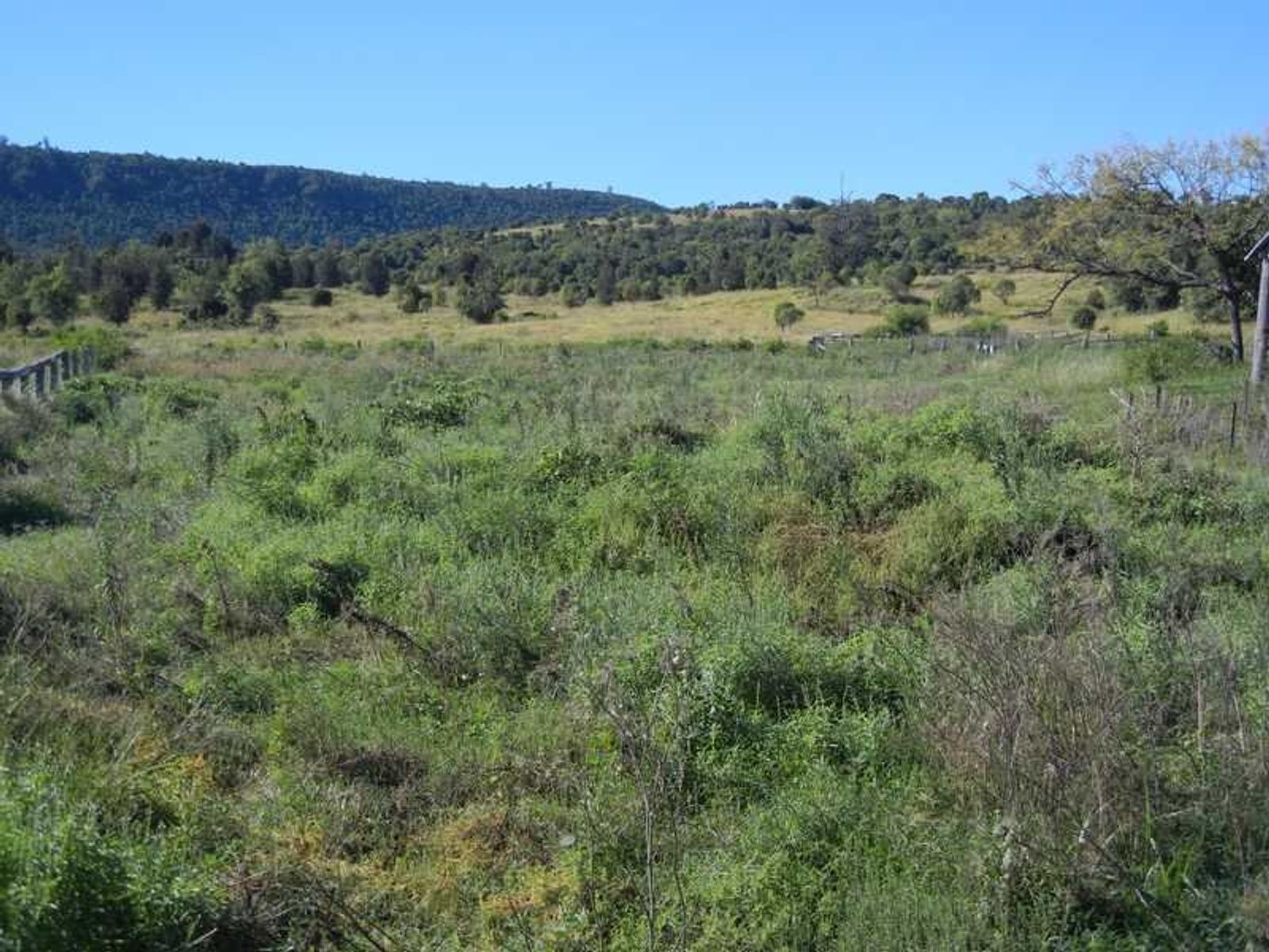 11257 Cunningham Highway Gladfield, Warwick, QLD 4370, Warwick - Thumbnail 5