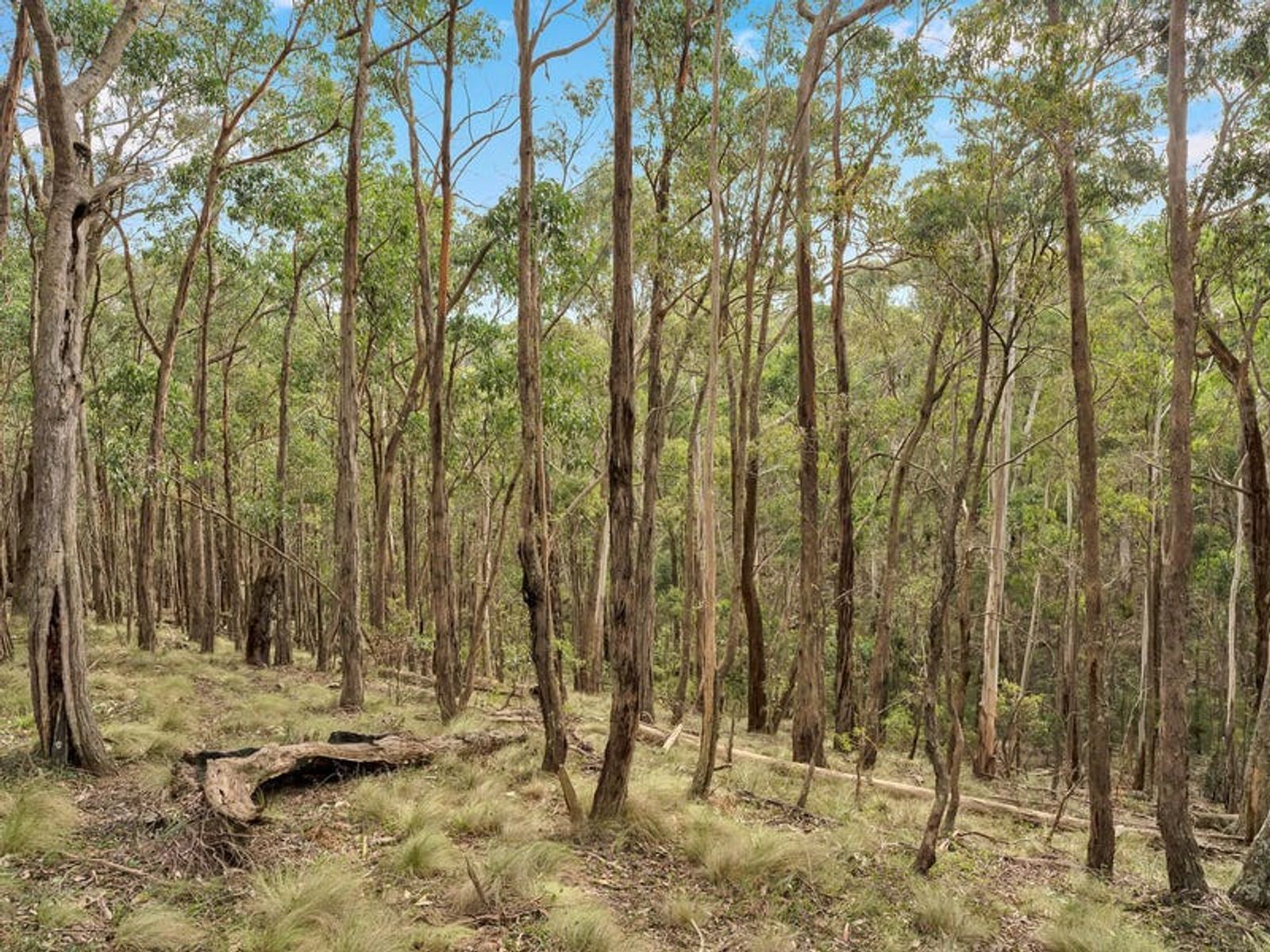 Lot 163/78 Acacia Avenue, Dales Creek VIC 3341, Dales Creek - Thumbnail 8