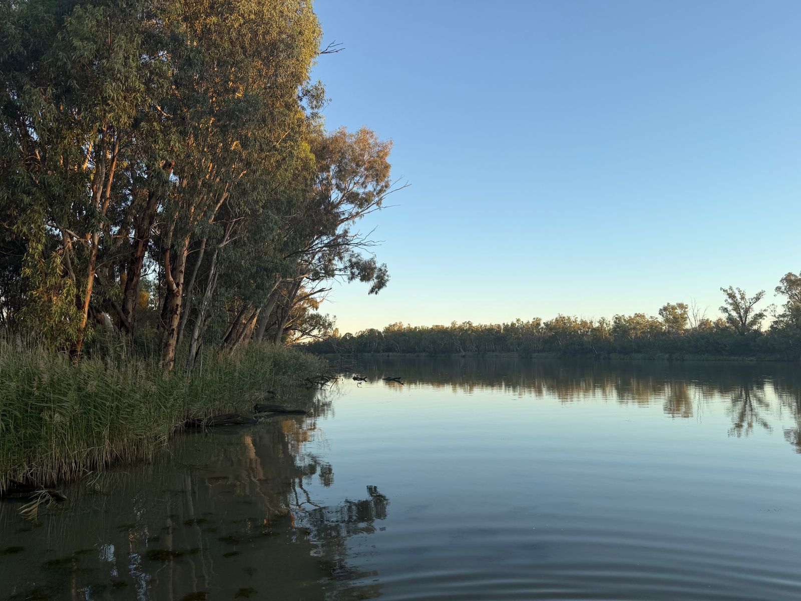 Lot 2 / 5669 Sturt Highway, Monak NSW 2738, Monak - Thumbnail 3