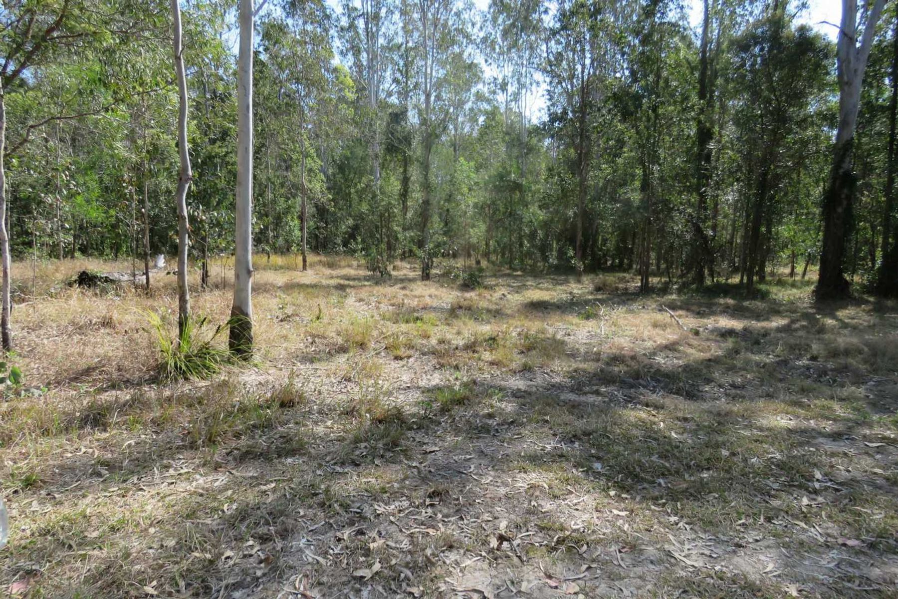 770 Elliots Road, Myrtle Creek, NSW 2469, Myrtle Creek - Thumbnail 8