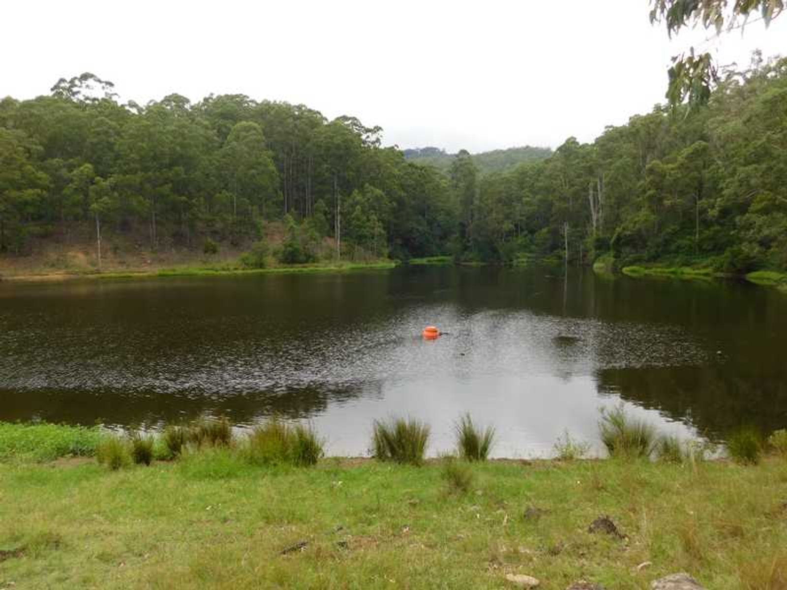 Lot 100 Mt Lindesay Road, Killarney - Thumbnail 7